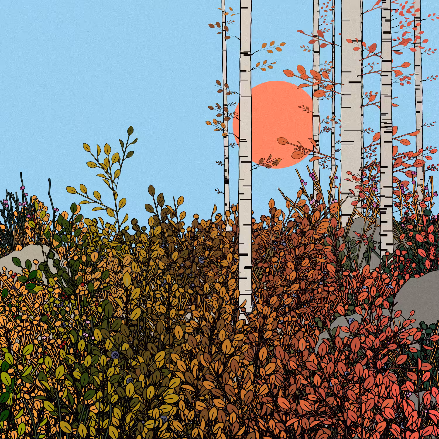 Swedish Forest #95