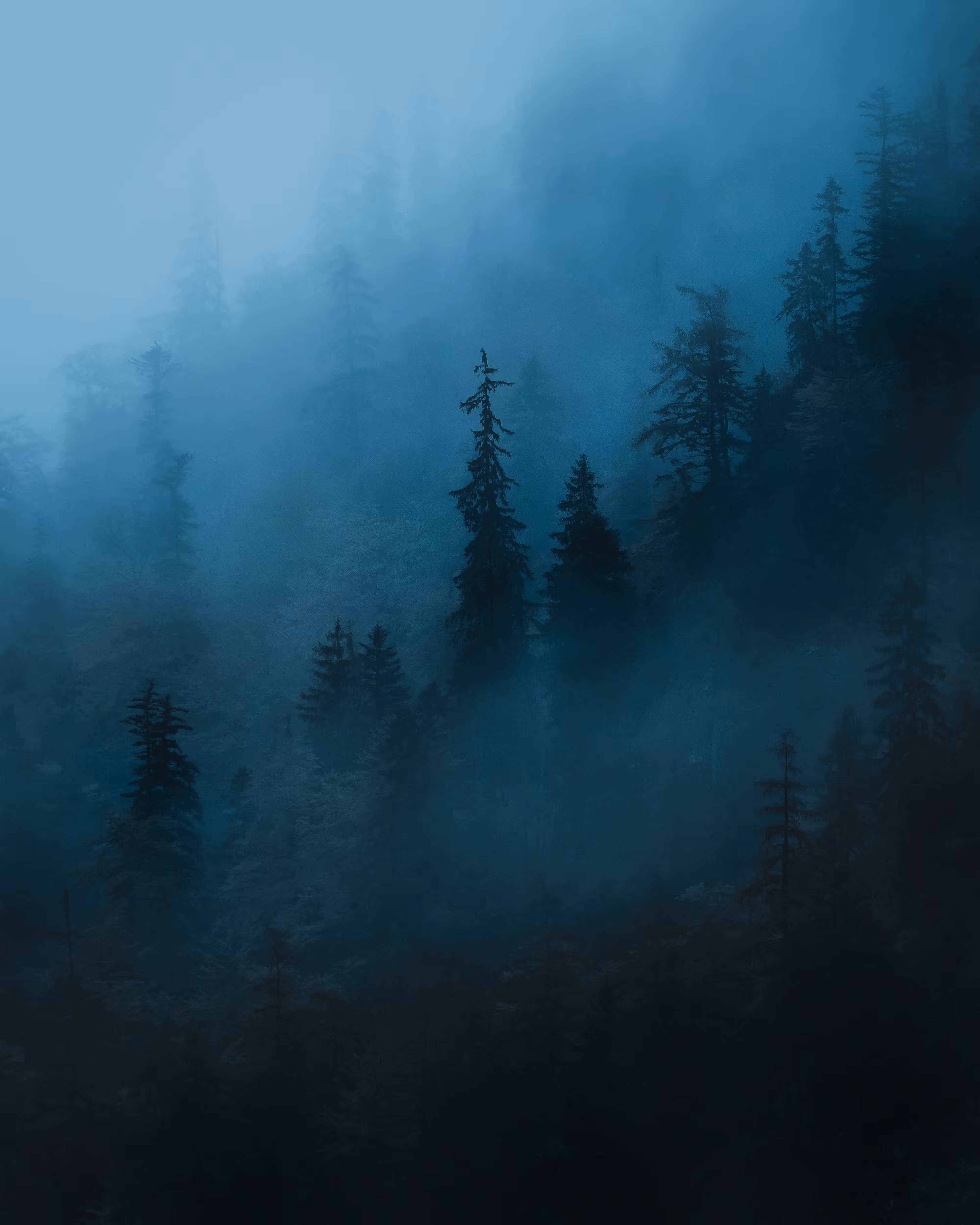 Unspoiled Blues: #10 - Isolation