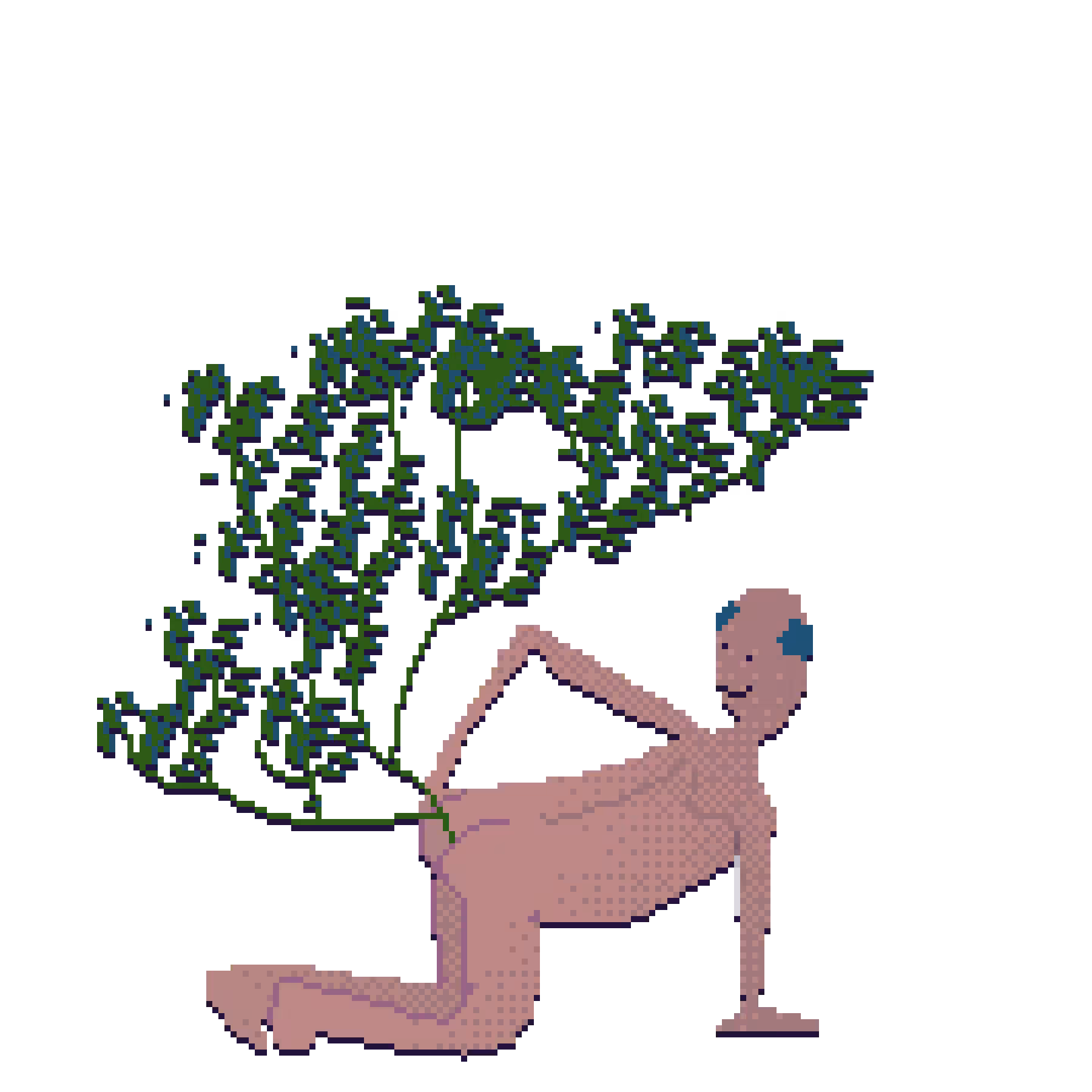 Cu de planta n3