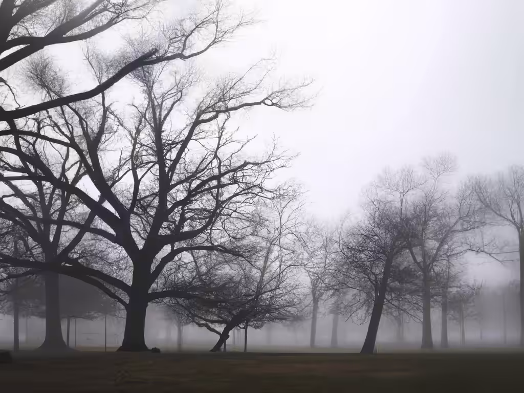 Branches Reach