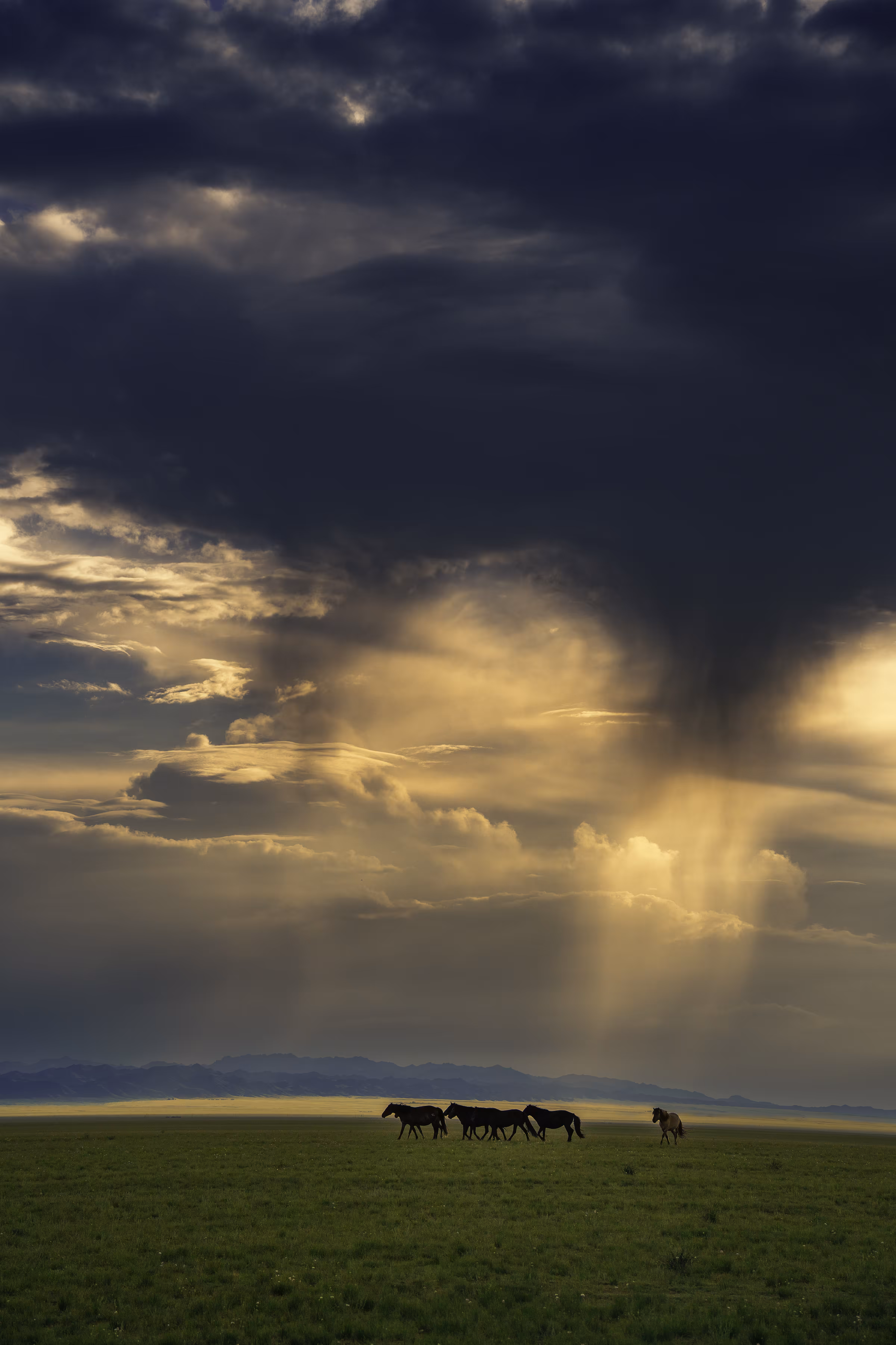 Mongolian Ride