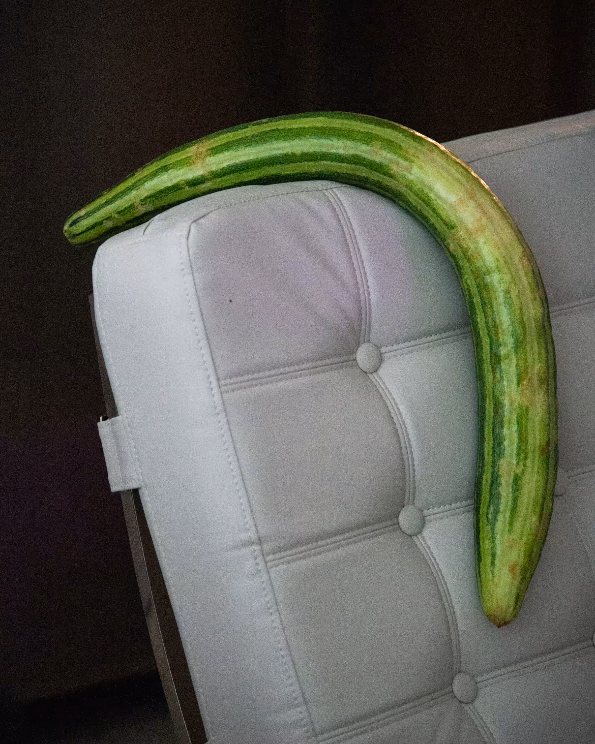 Cucumber