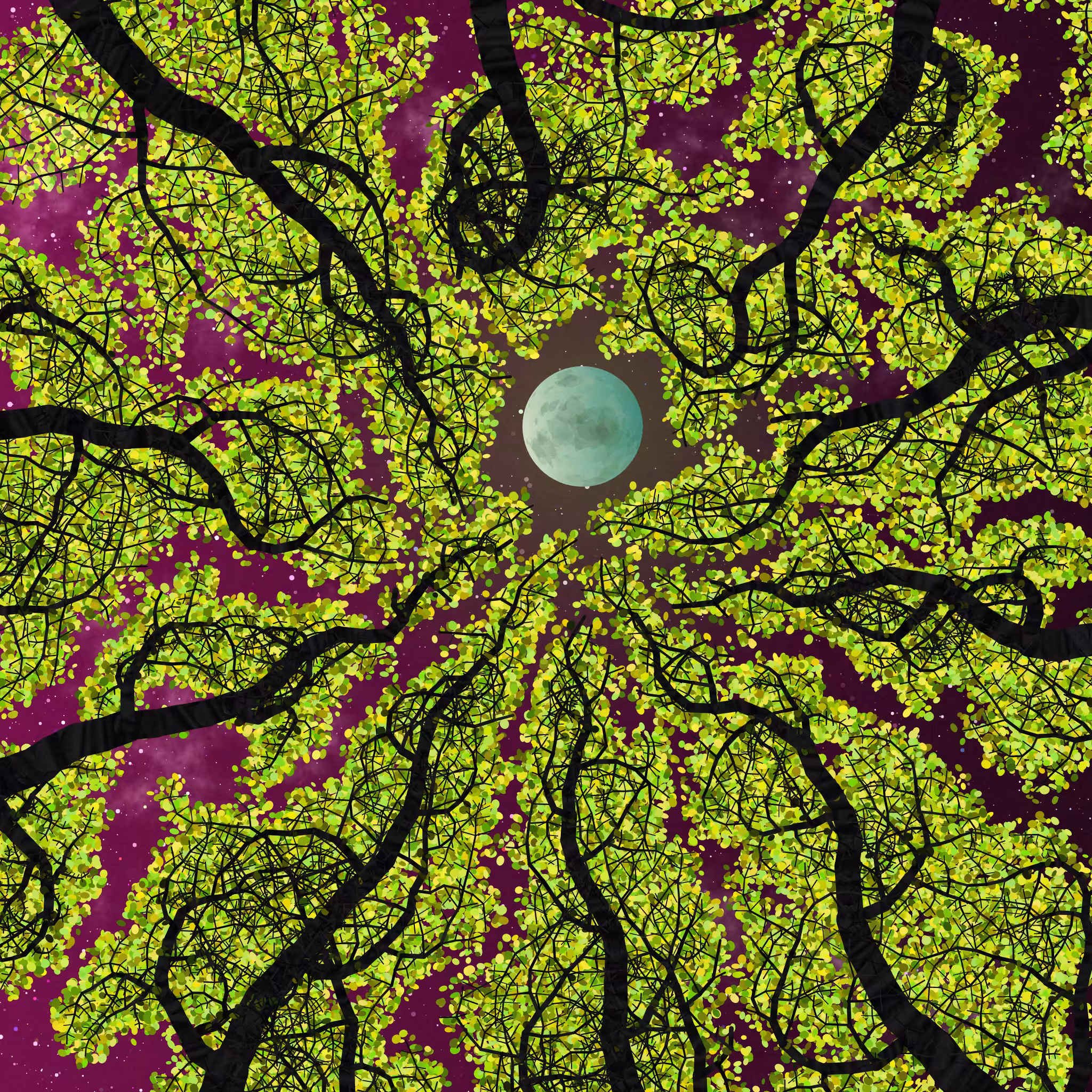 Tree Skyness #166
