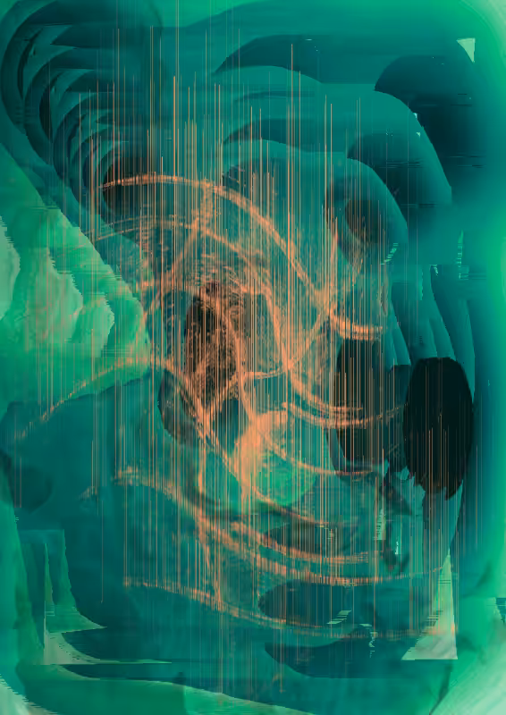 Absolute #5