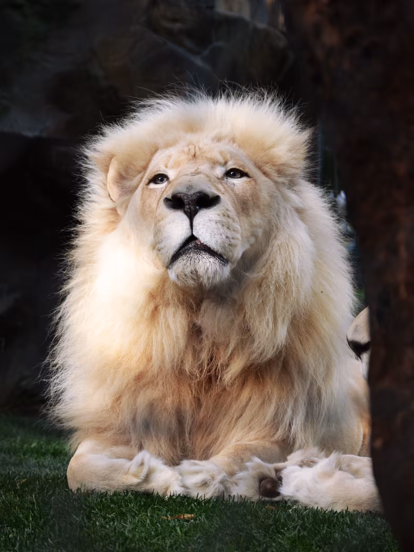 King