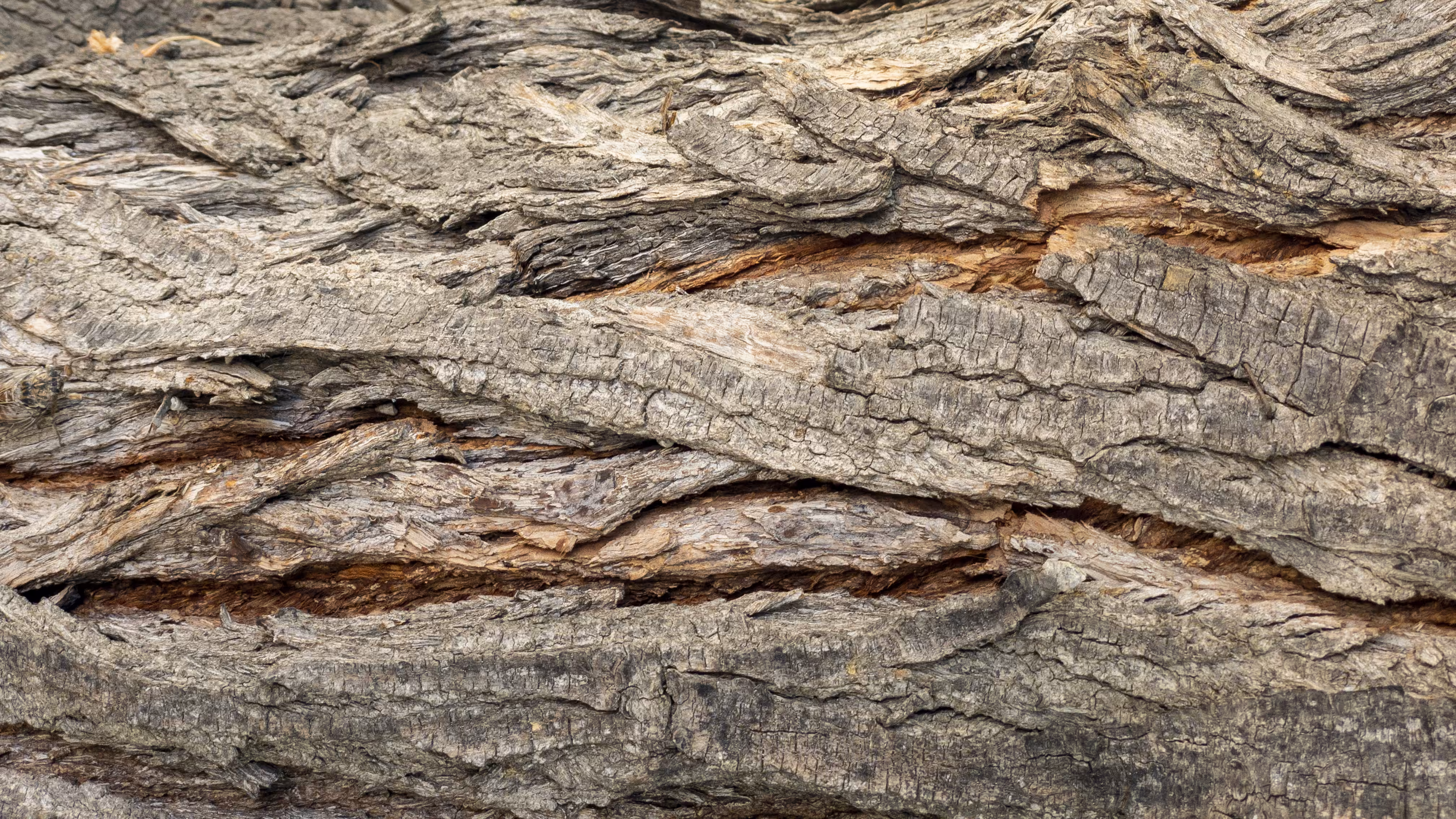 Nature Signatures