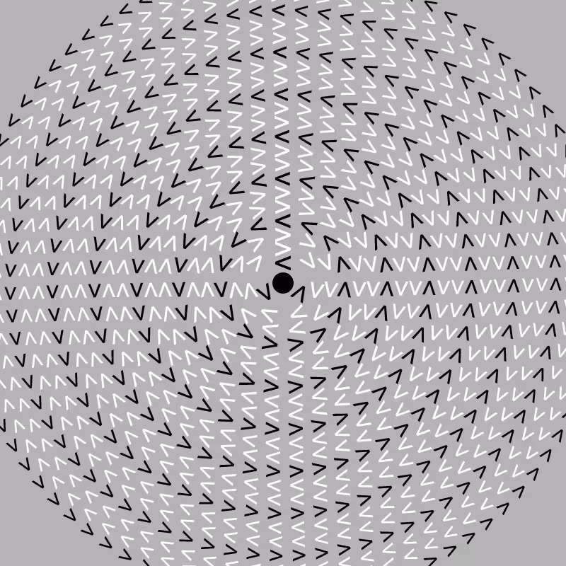 Dizzy Wheel #25