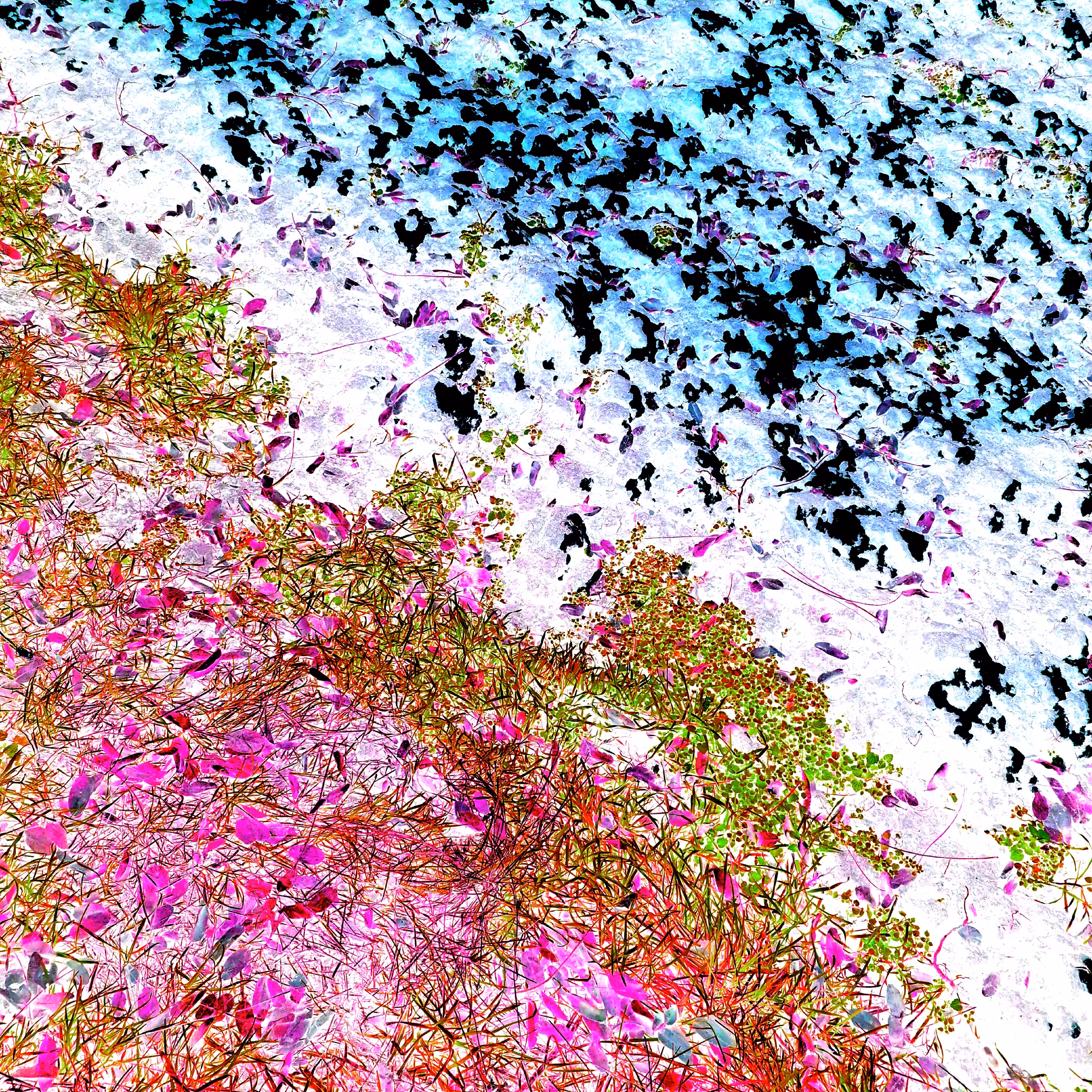 Trip 11
