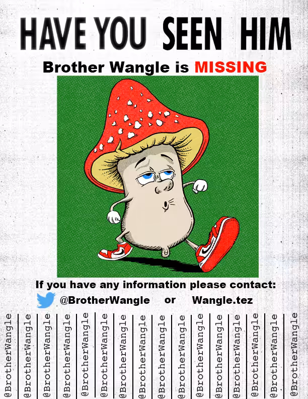 Missing Wangle 31