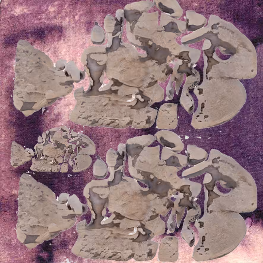 MudfishSoup #1