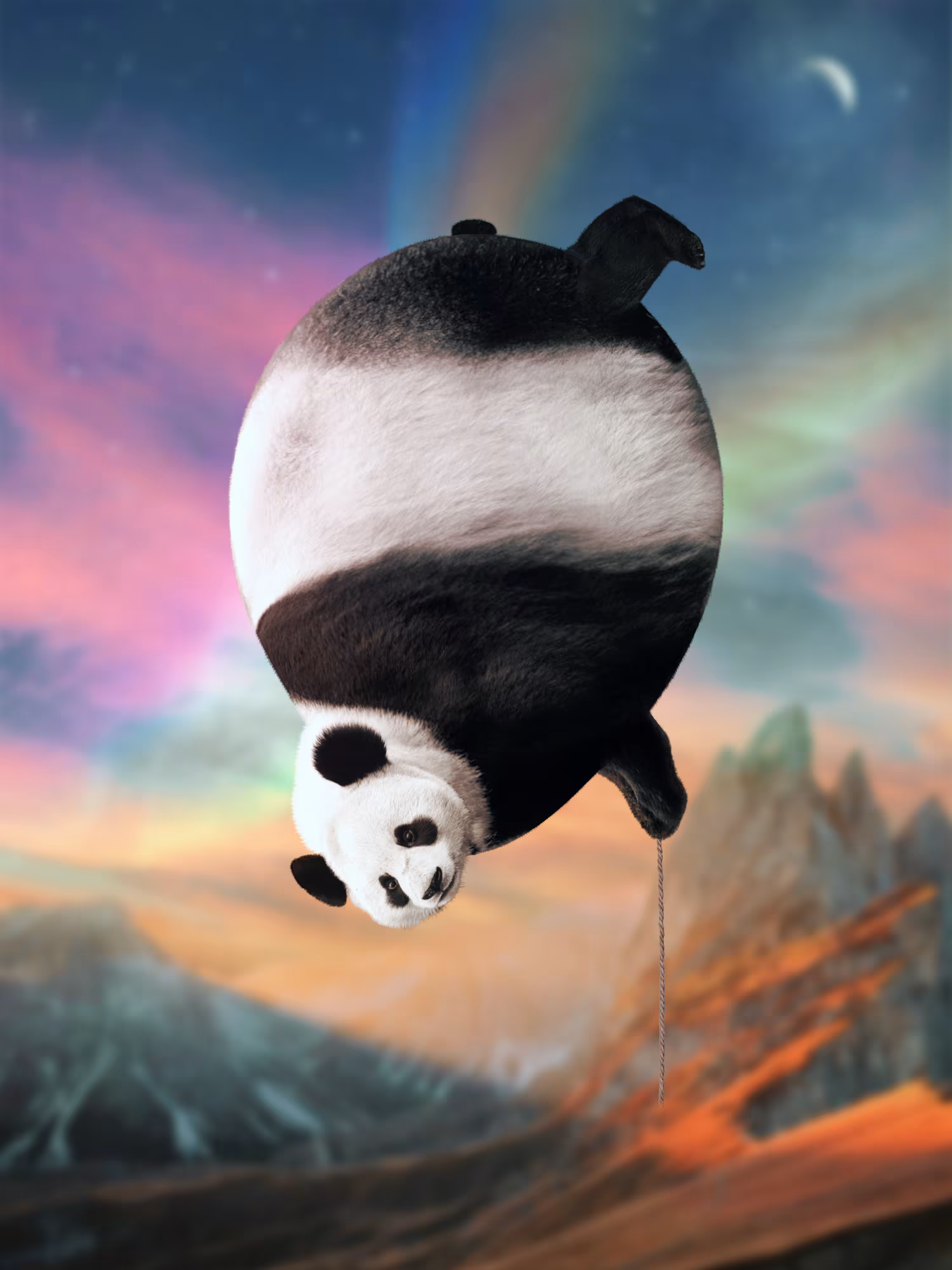 Pandallon