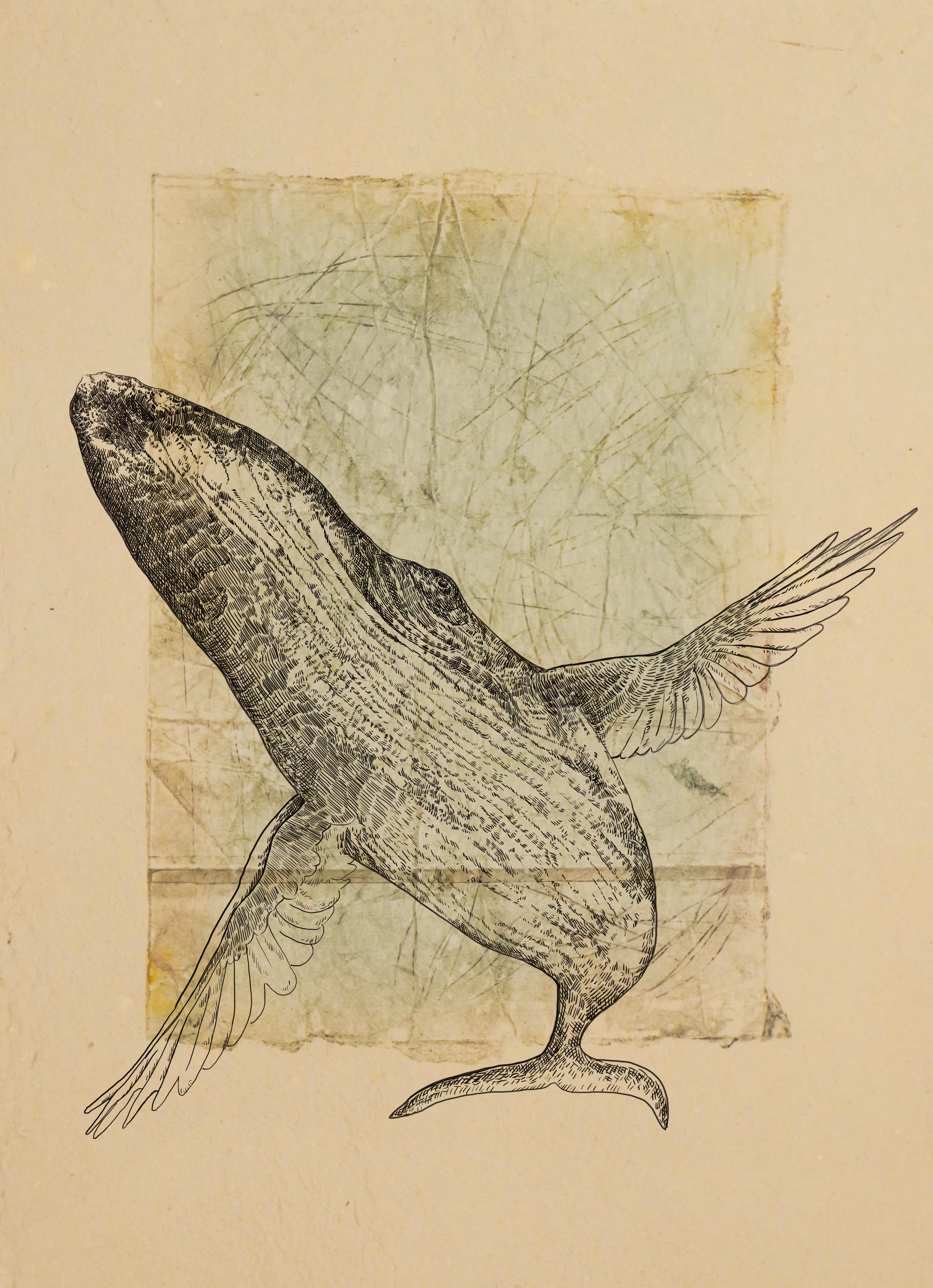 Flying Whale