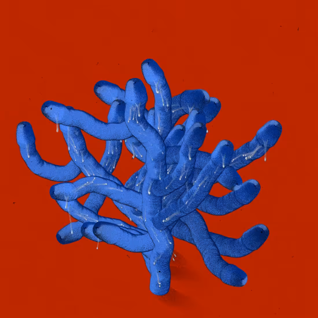 Shape Study  #81