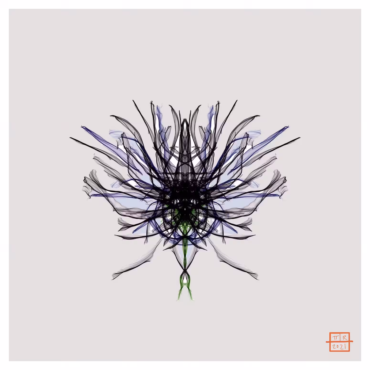 Black Carnation