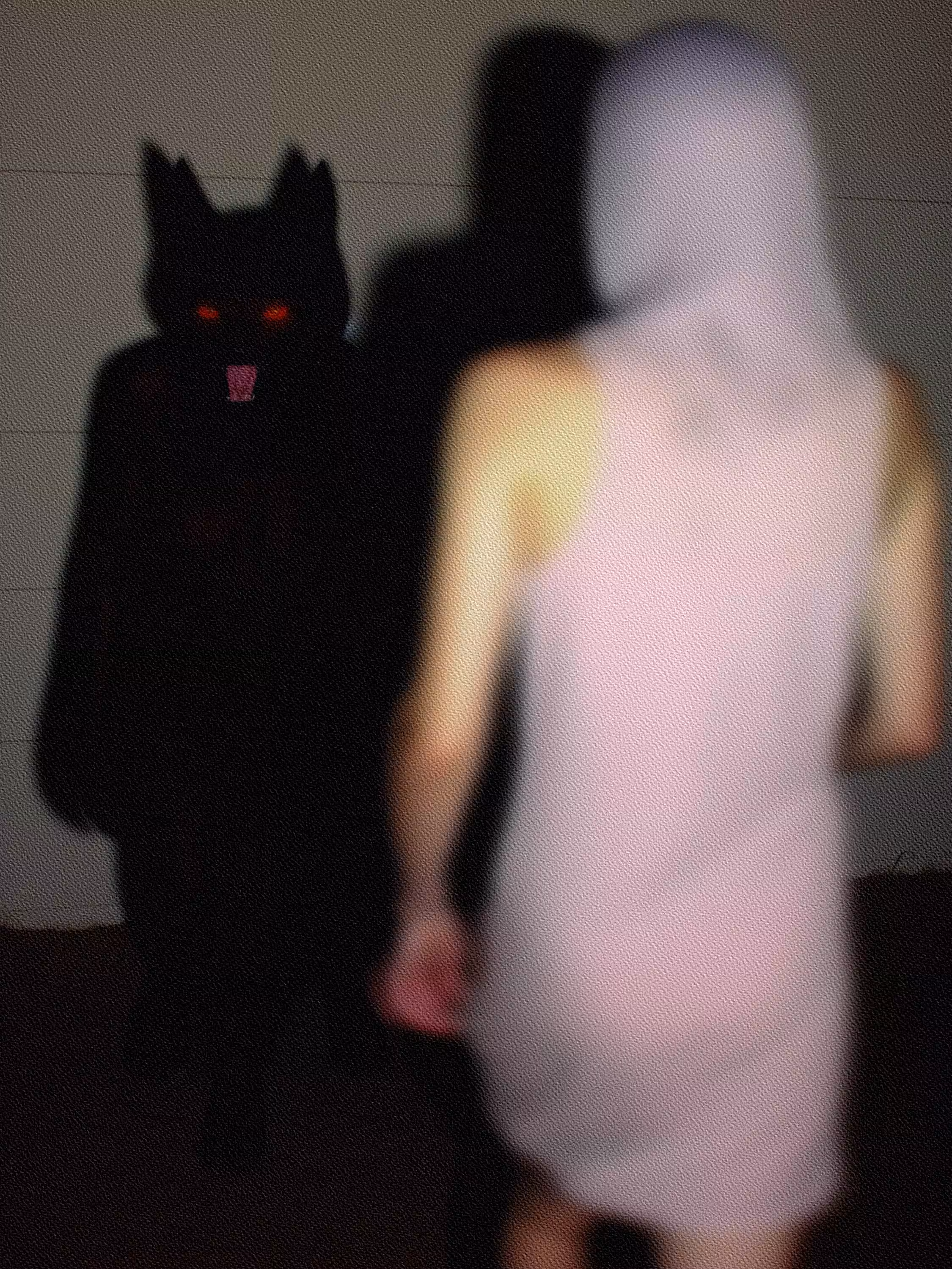 Post Photographic Perspectives: Taming the Machine: Olga Fedorova - Untitled #52
