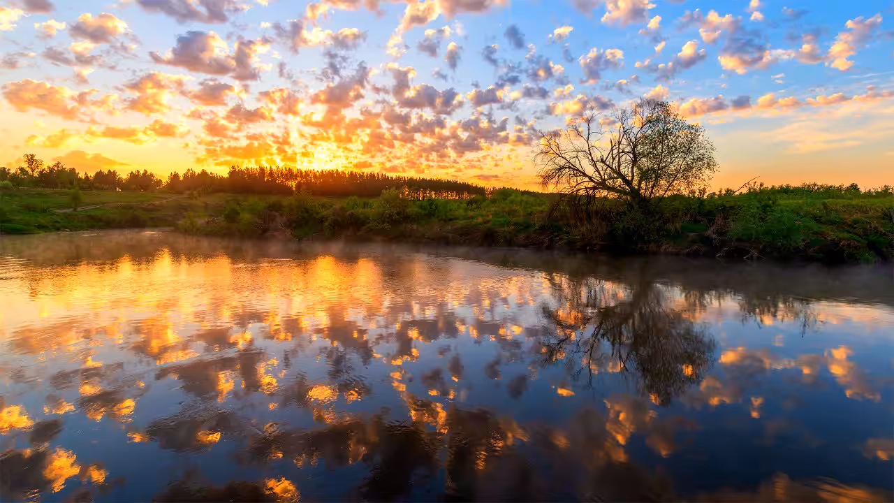 Amazing nature
