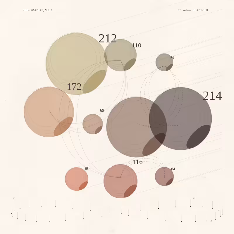 CHROMATLAS, Vol. 6 #29