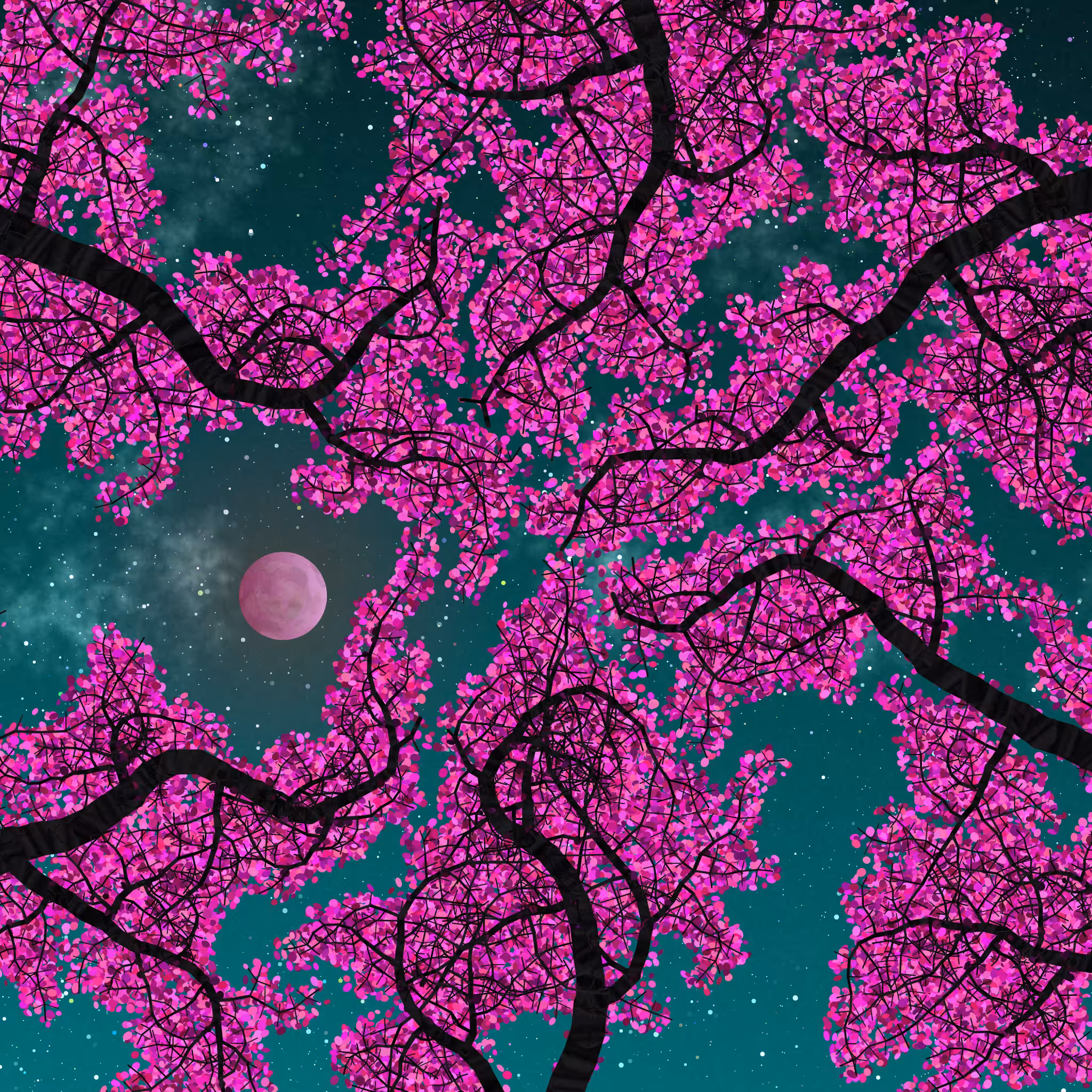 Tree Skyness #206