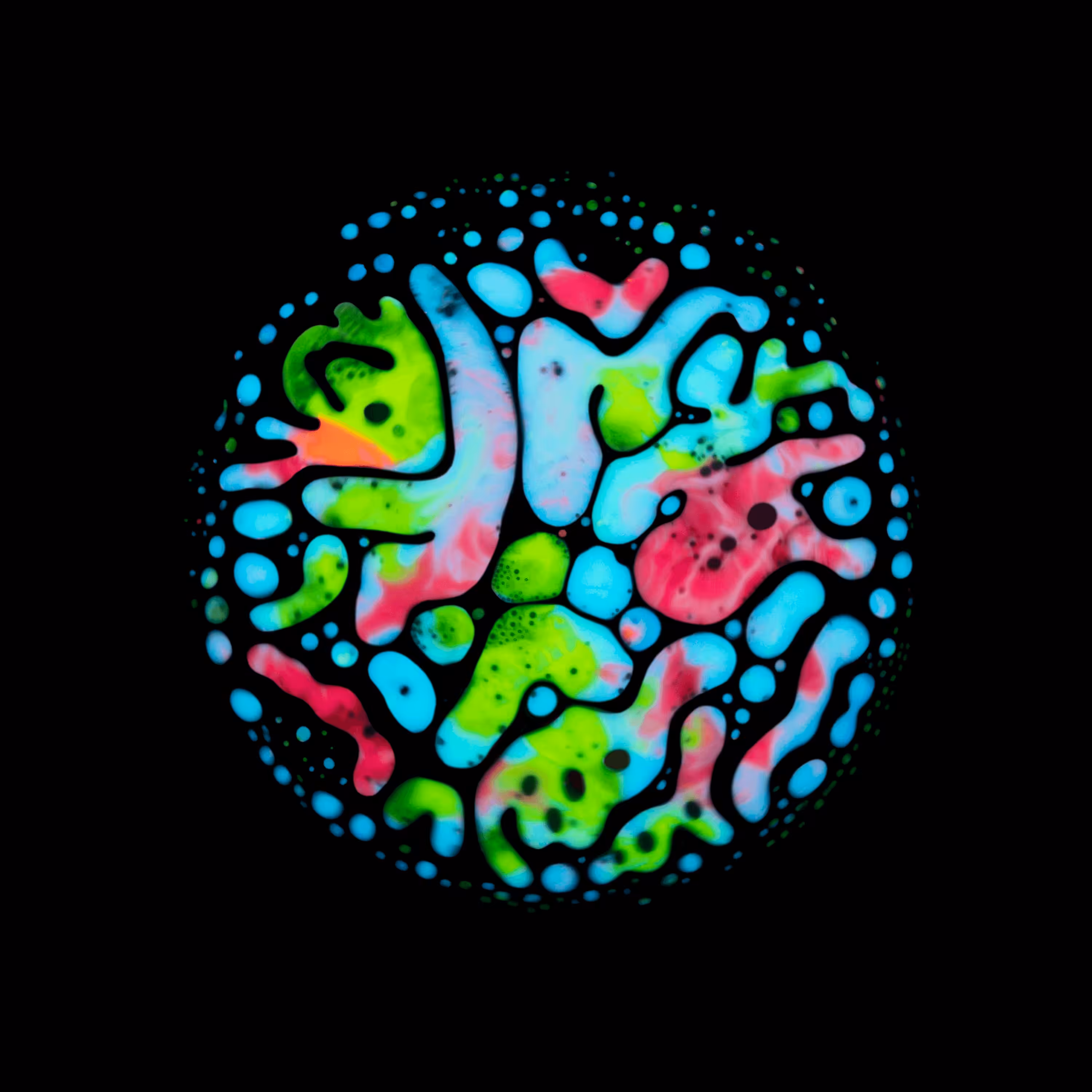 Haematopoiesis #44