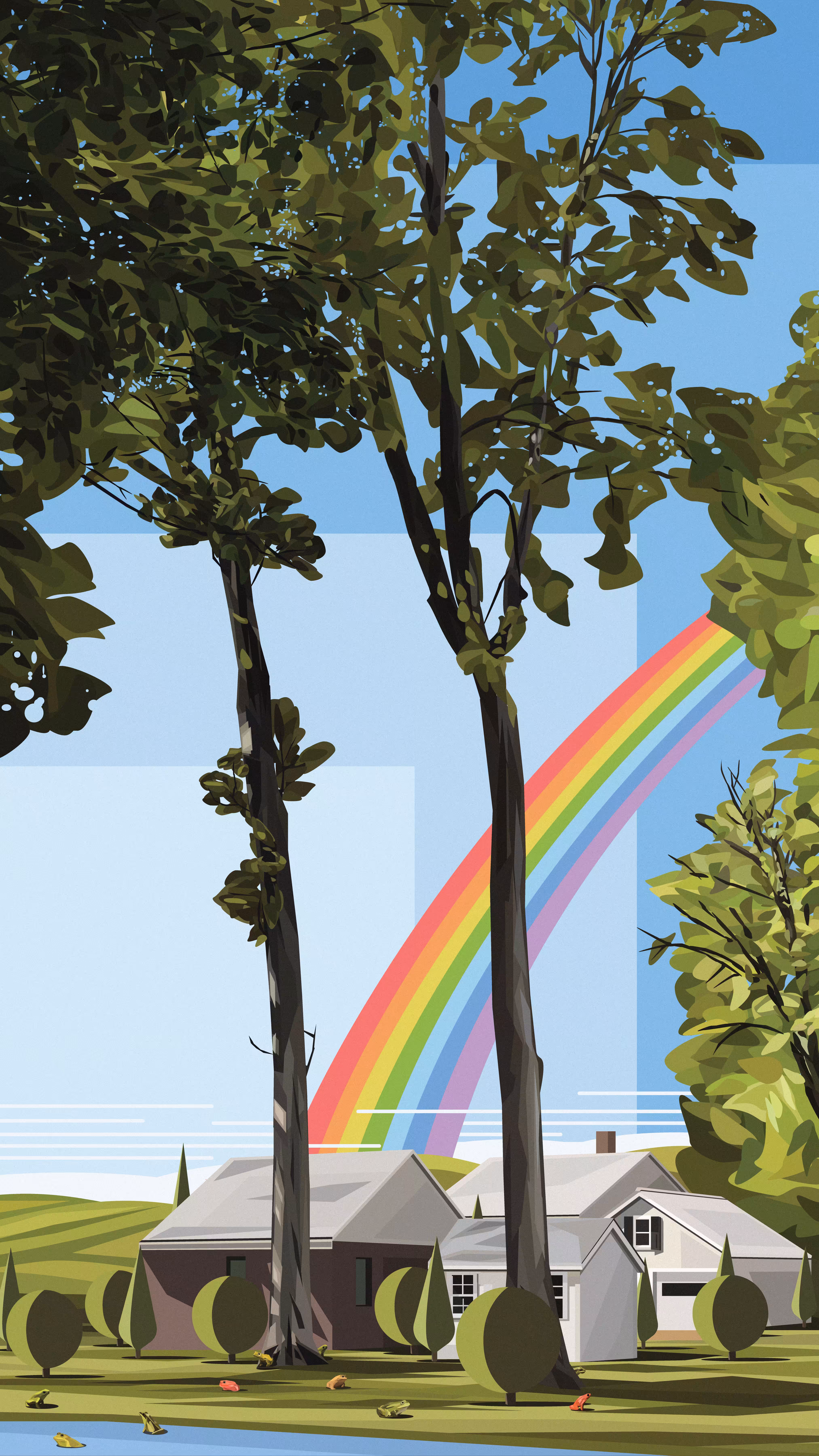 Frogs & Rainbows