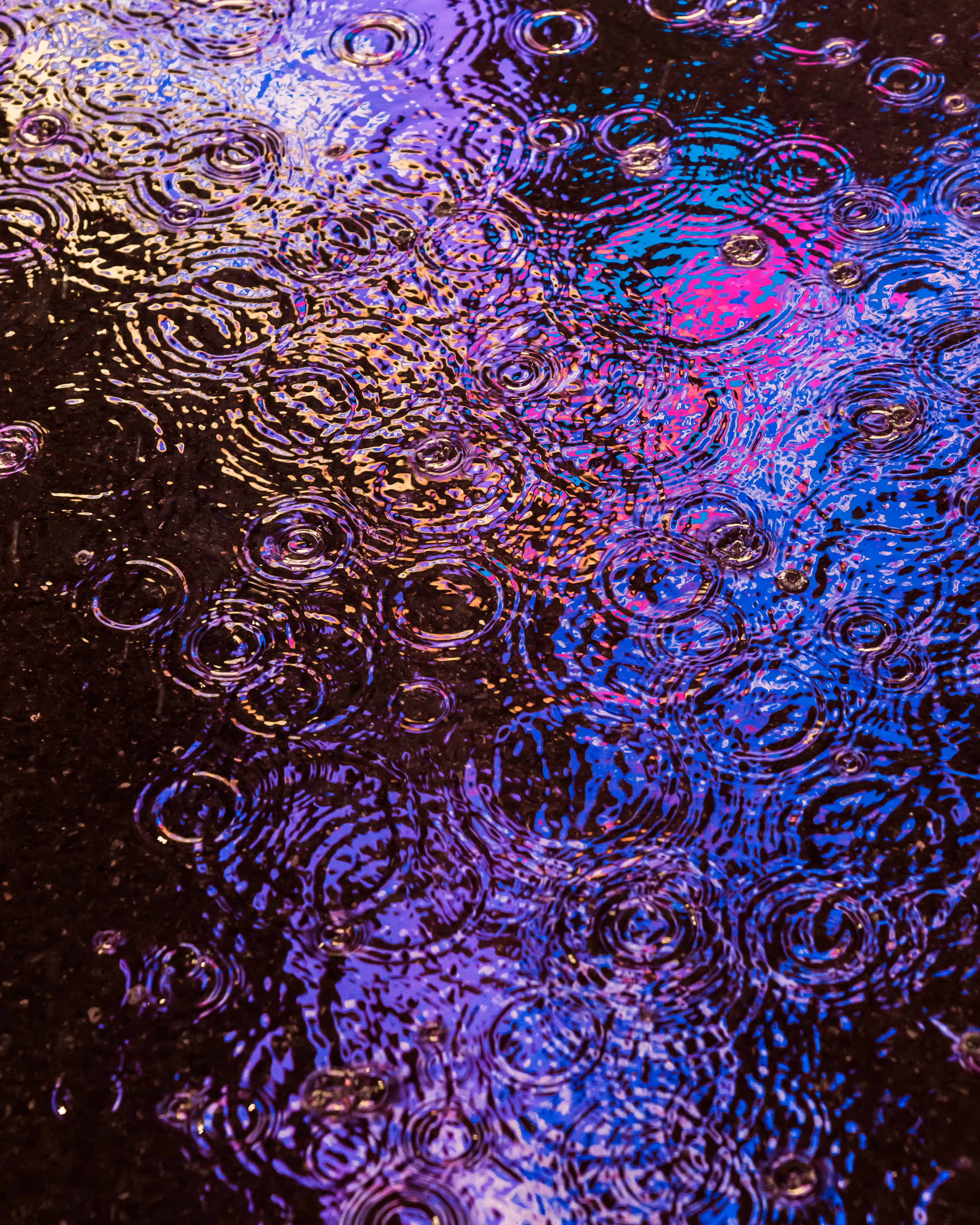 DRIP DROP: DRIP #488