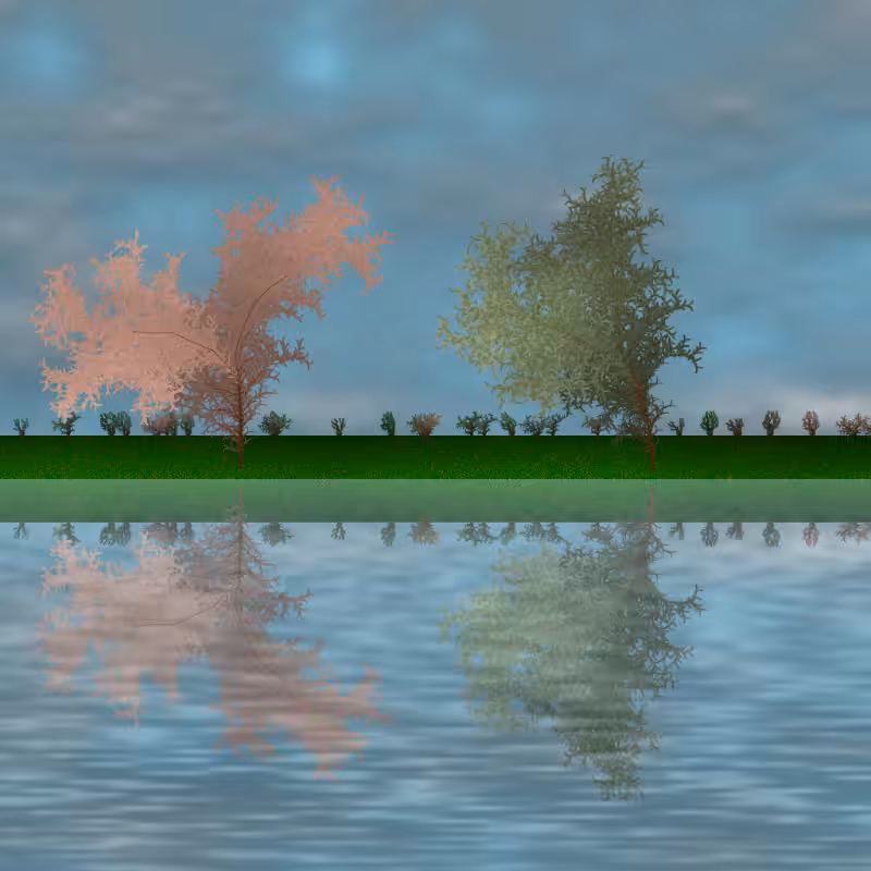 The dancing grove #61