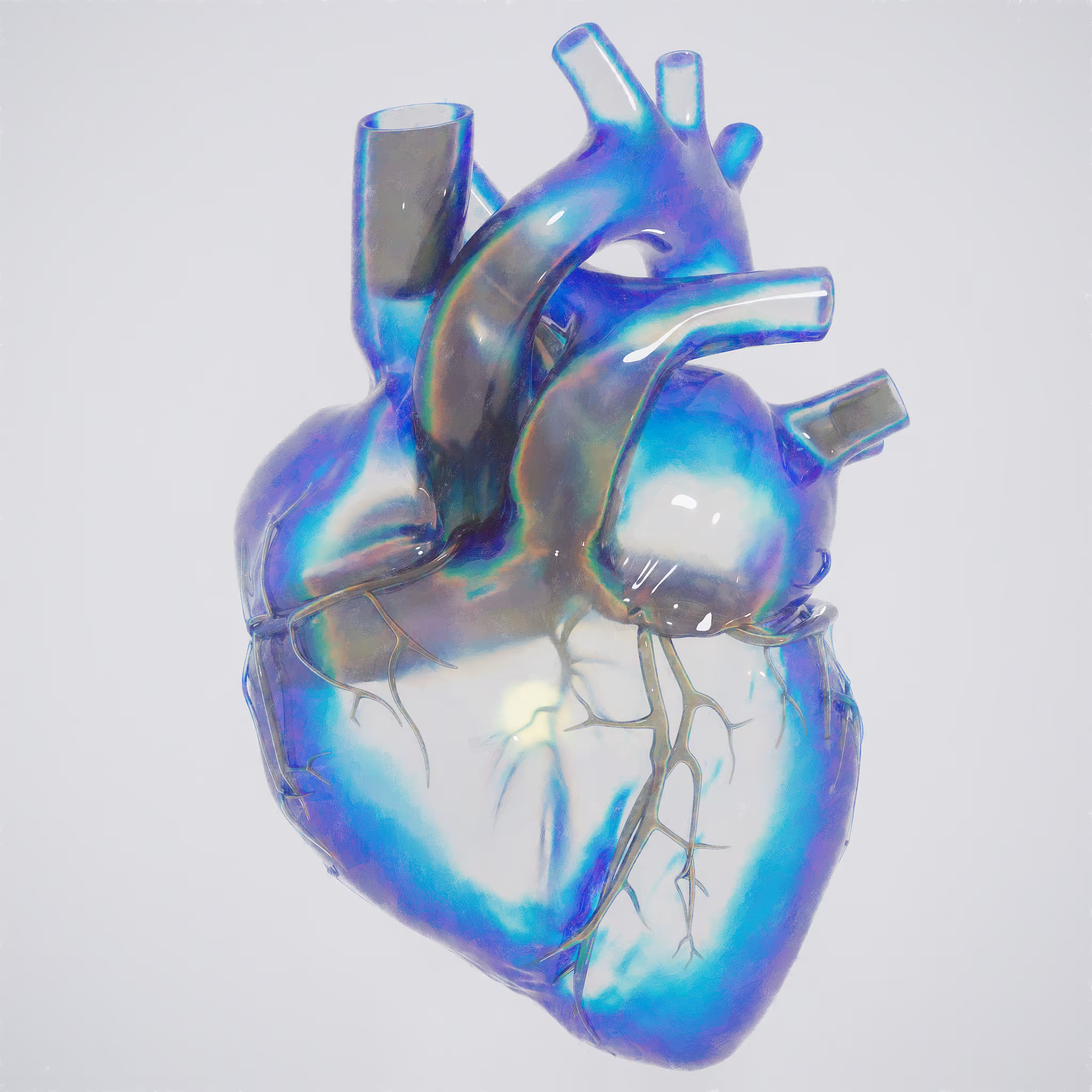 Heart
