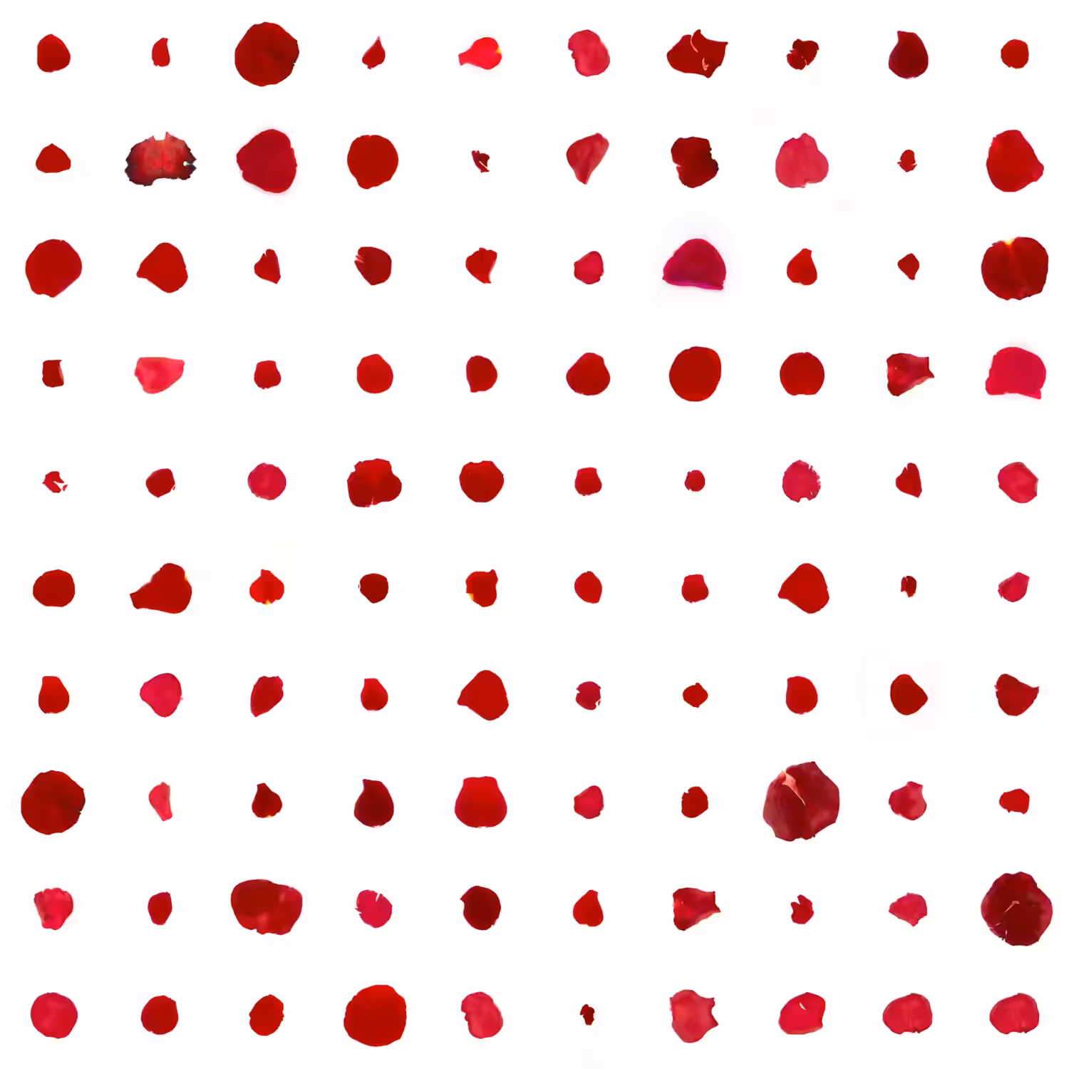 Infinite Petals 10x10#10084