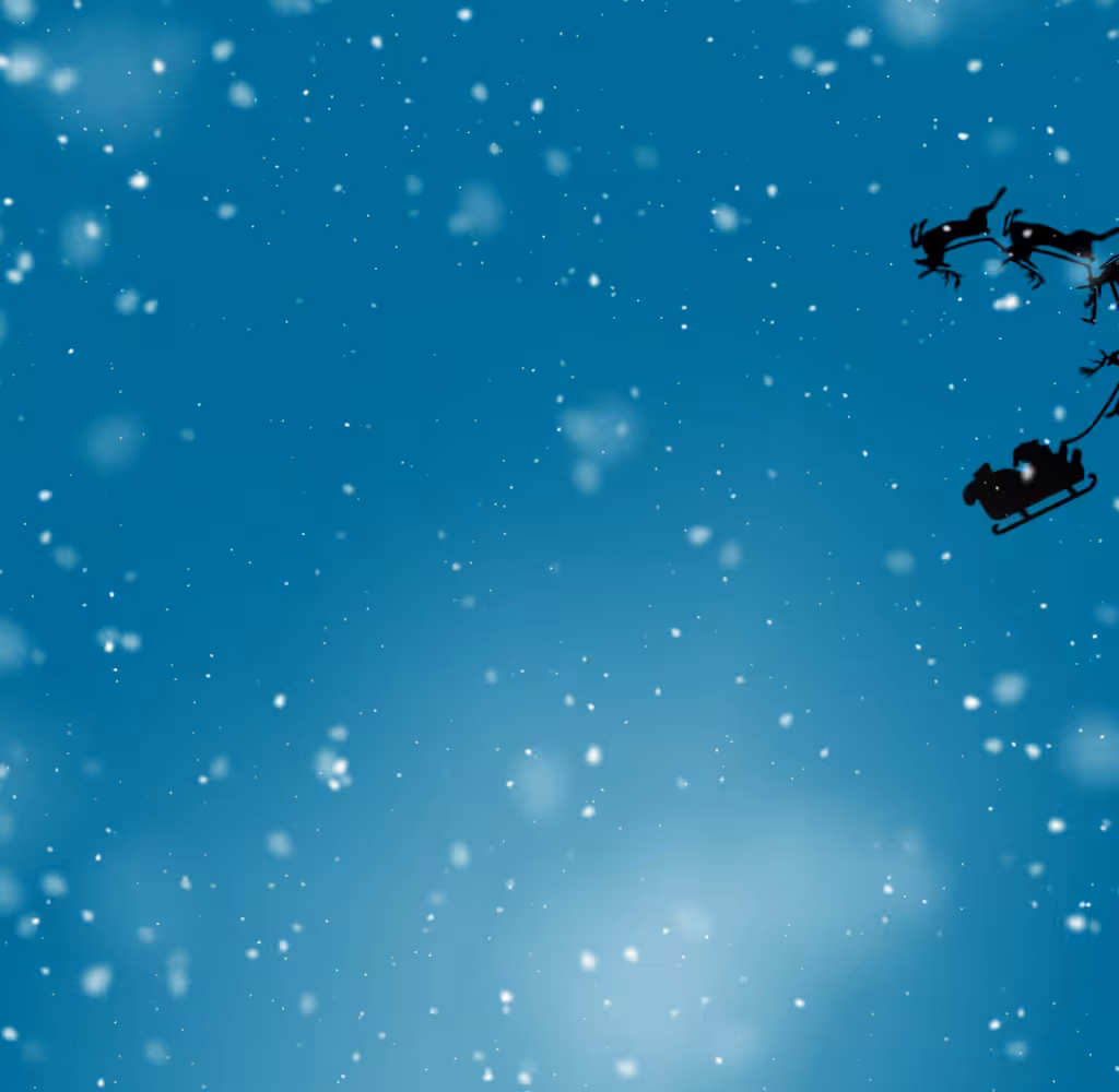 Merry Christmas 2021 #2
