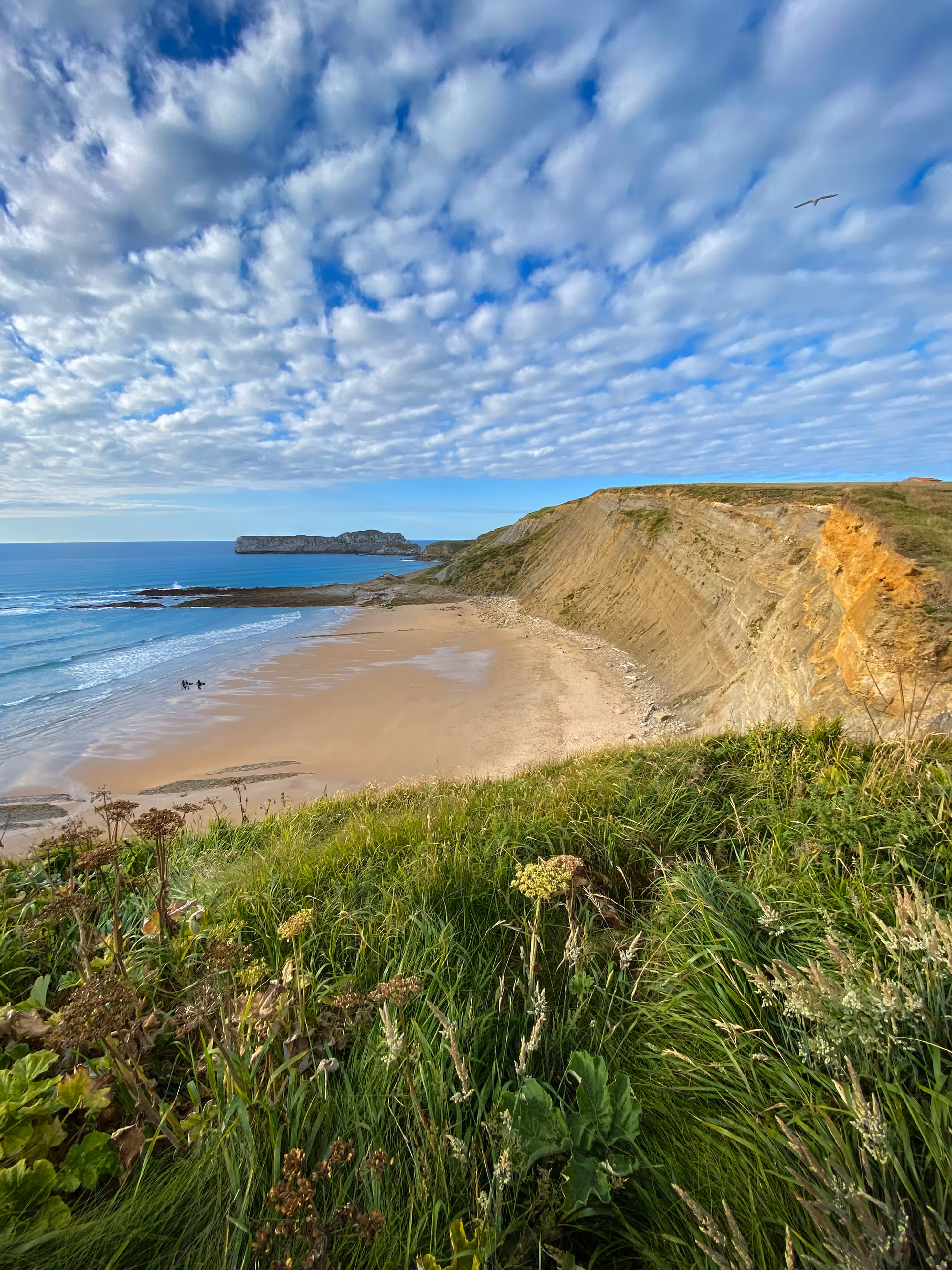Surfer's cove