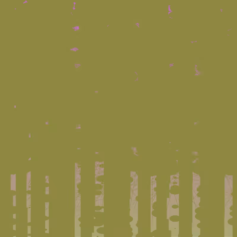 gradient canvas I #11