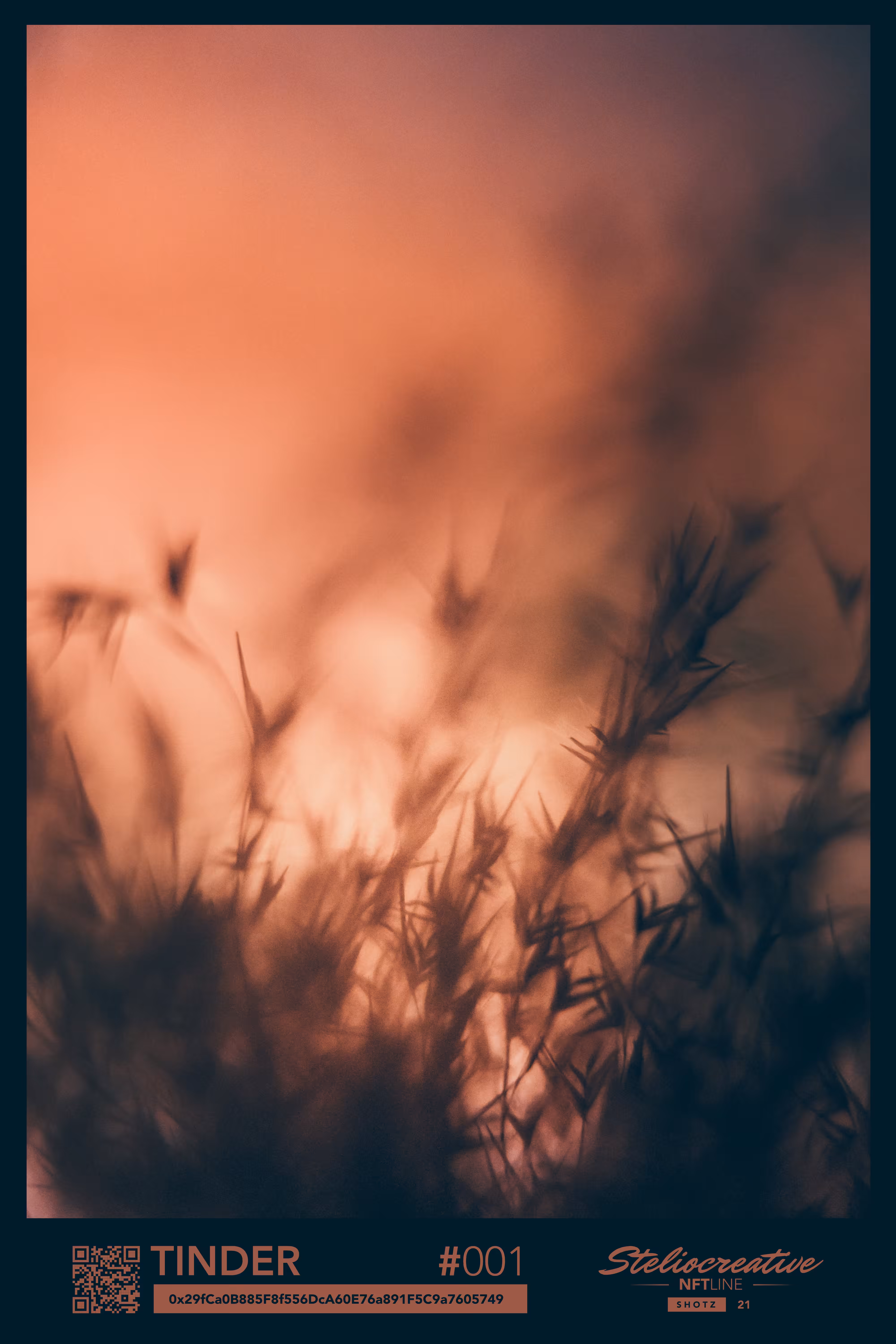 TINDER [SHOTZ 21 #001]