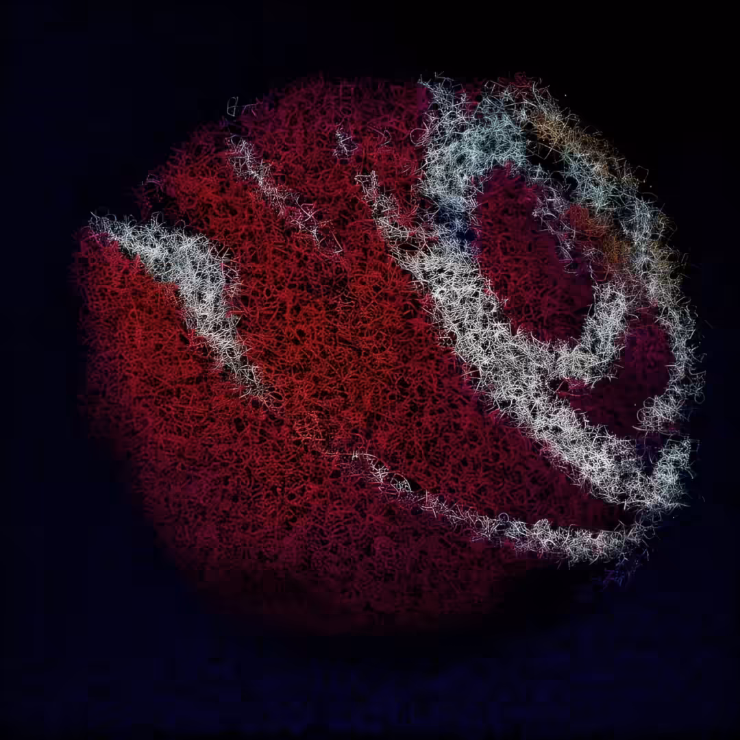 Kosmos