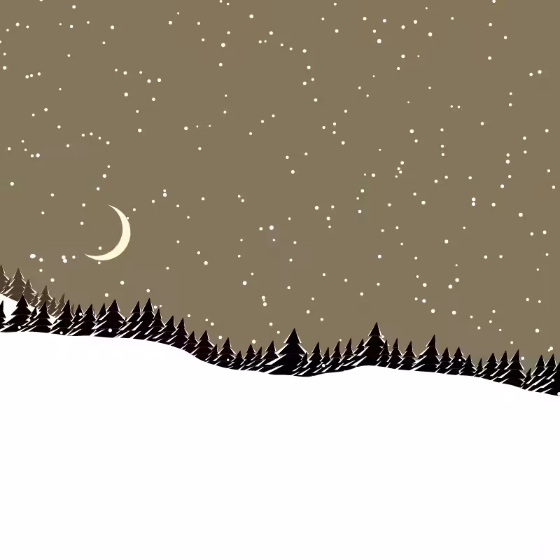 Winterland #84