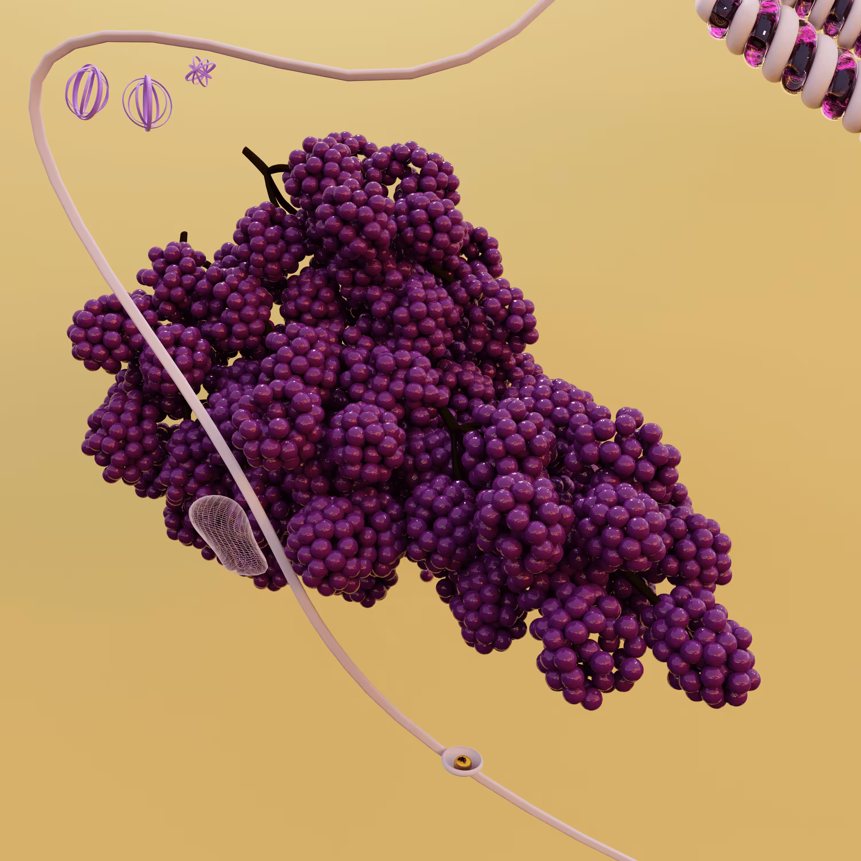 Grape