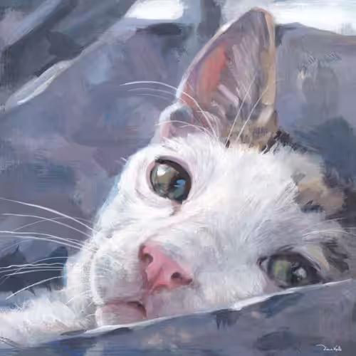 Claire the Cat #1