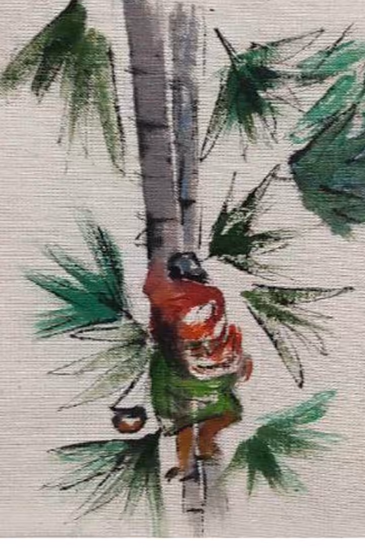  toddy palm climber