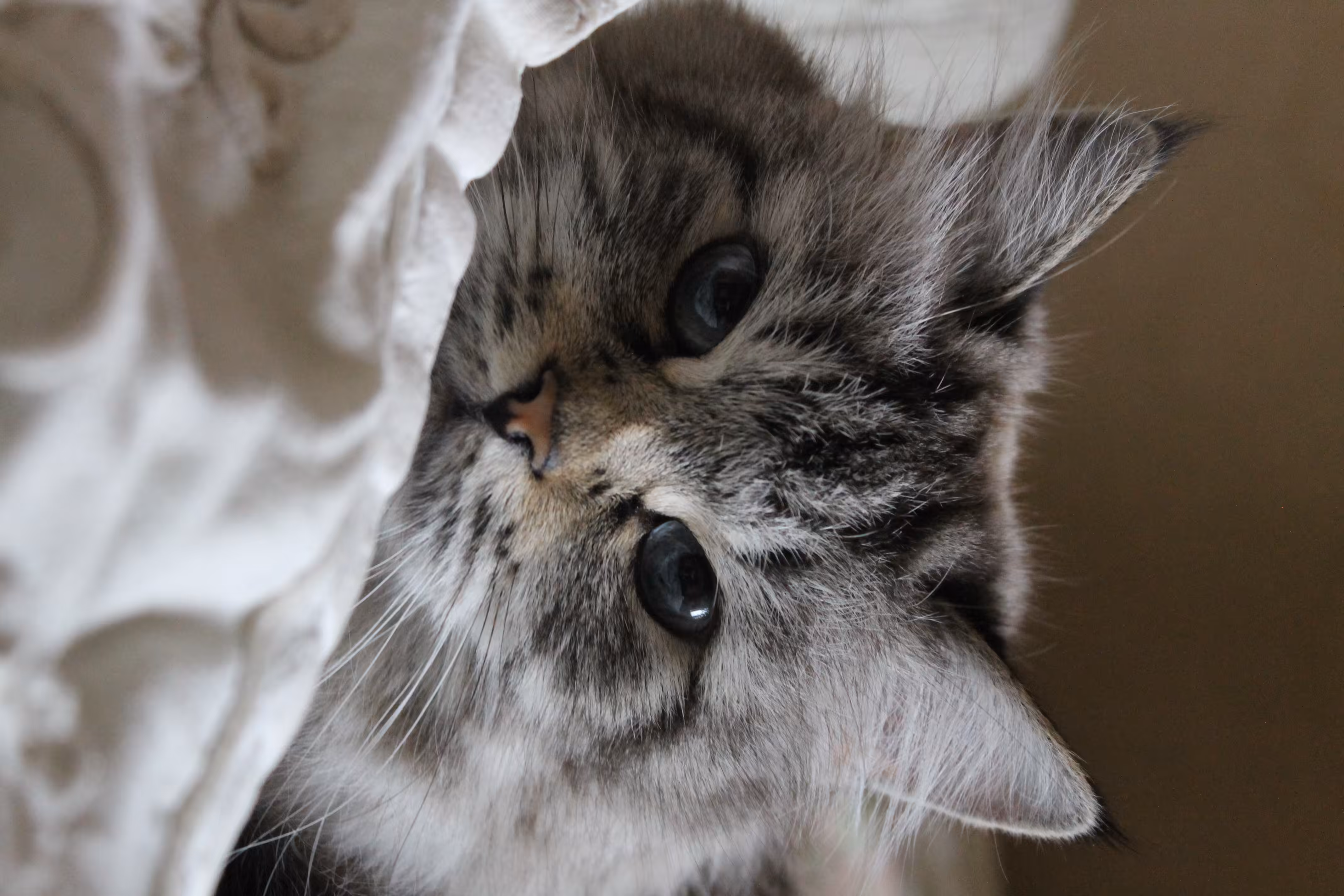 Behind blue eyes