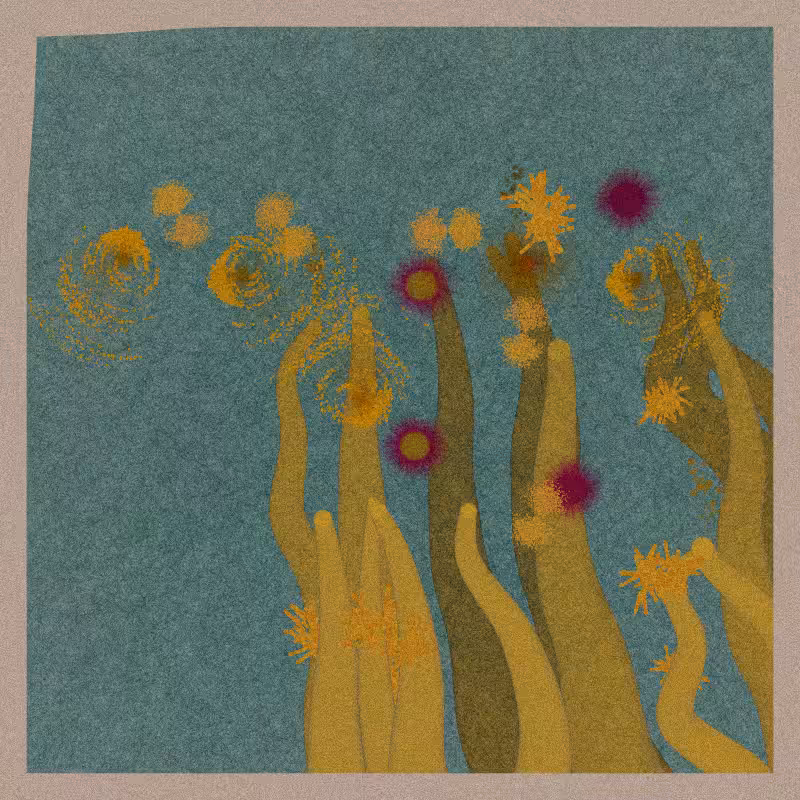Sea Anemone #61