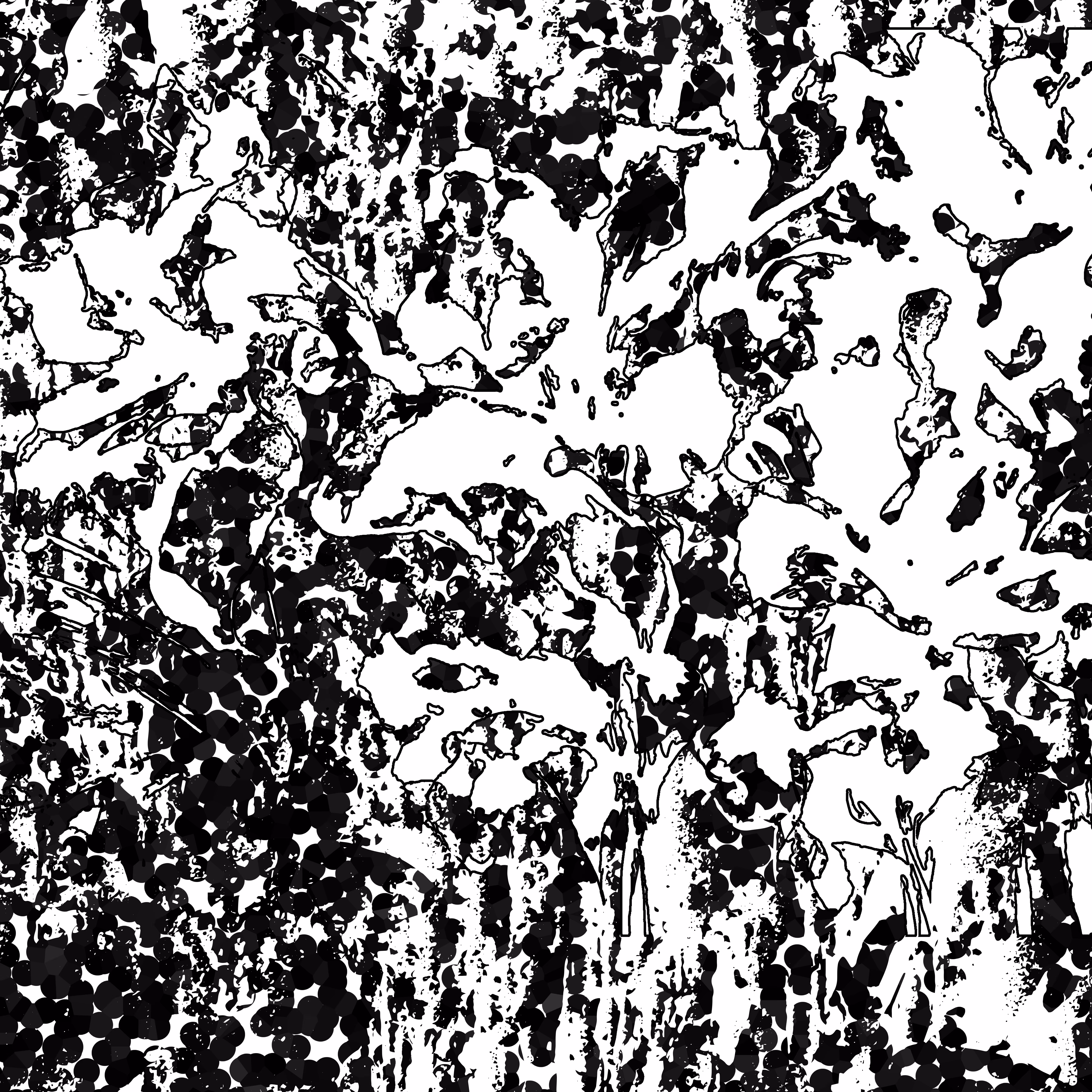 shadow #52
