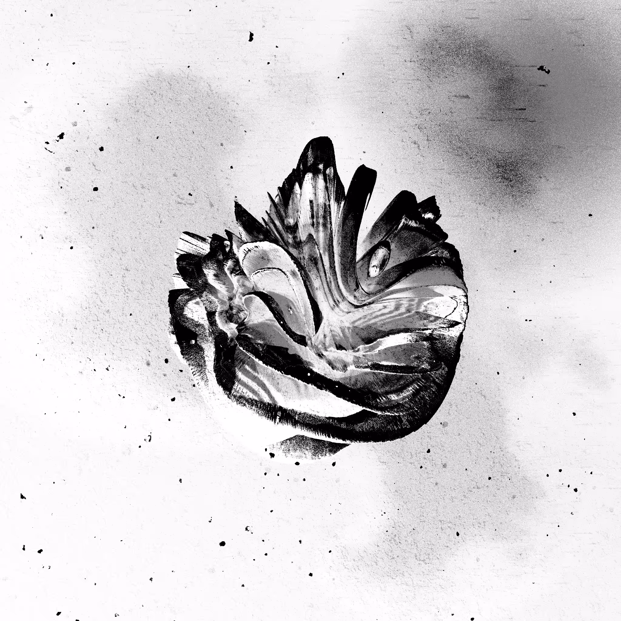 The Negative Coral Heart