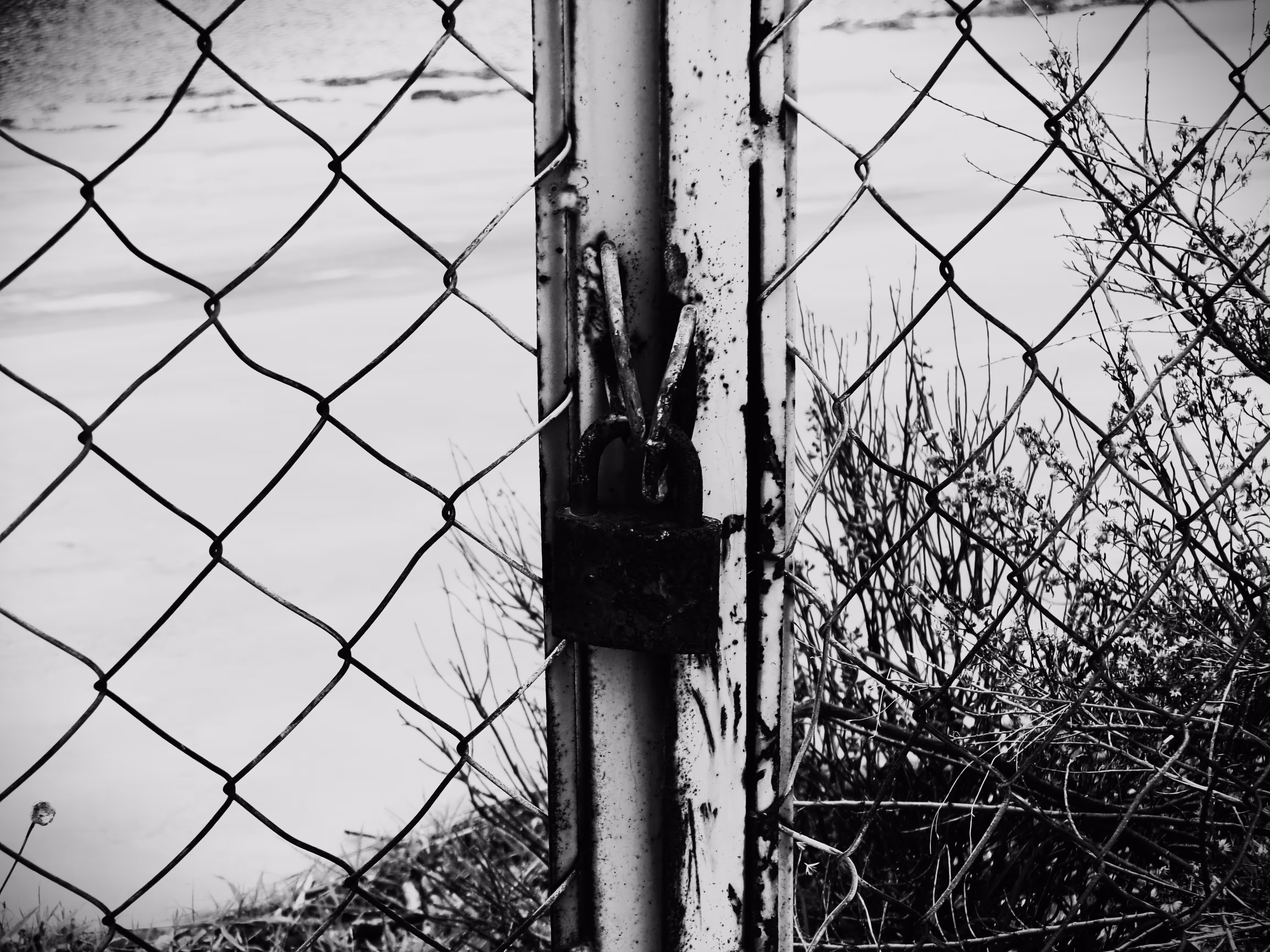 Behind the Wires