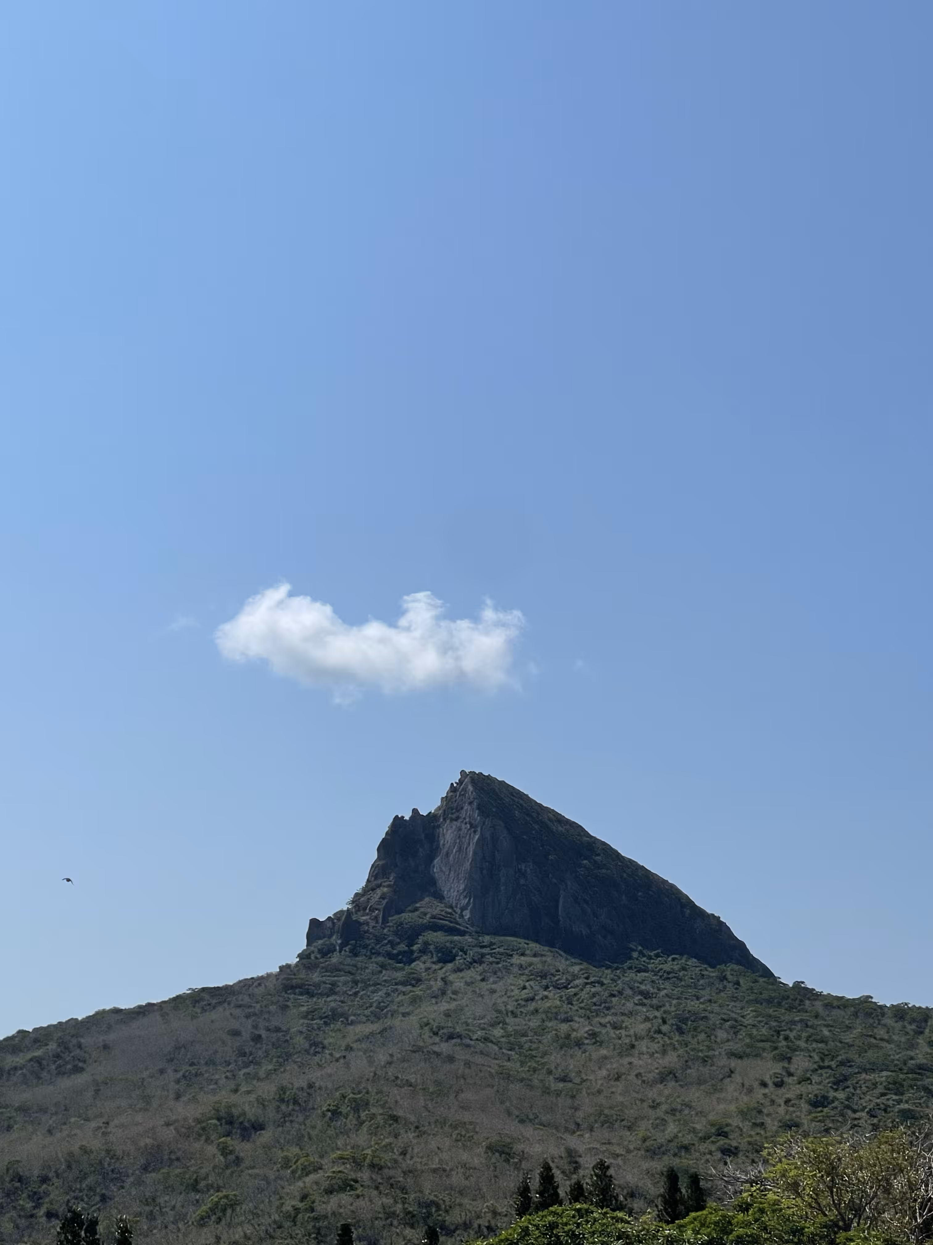 孤雲(陸) Lonely clouds 06.
