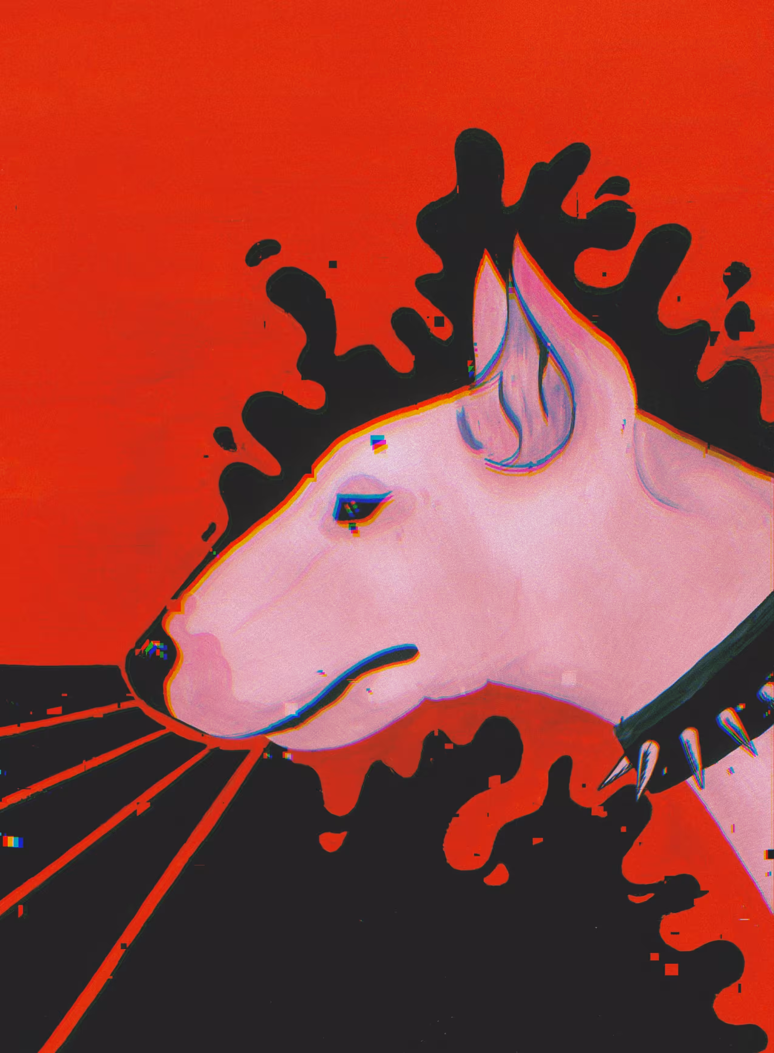 Bullterrier 