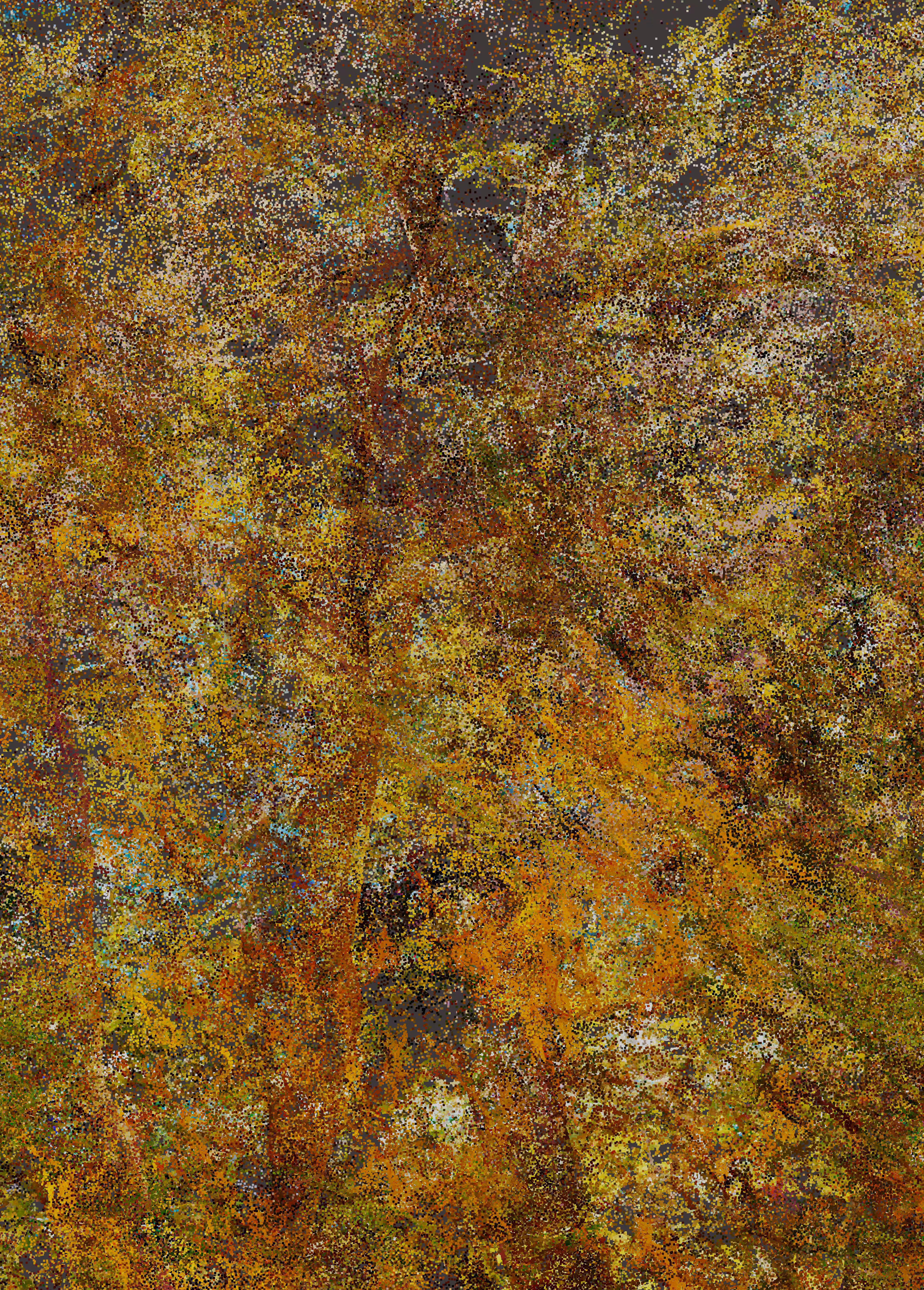 Provence P_02-9