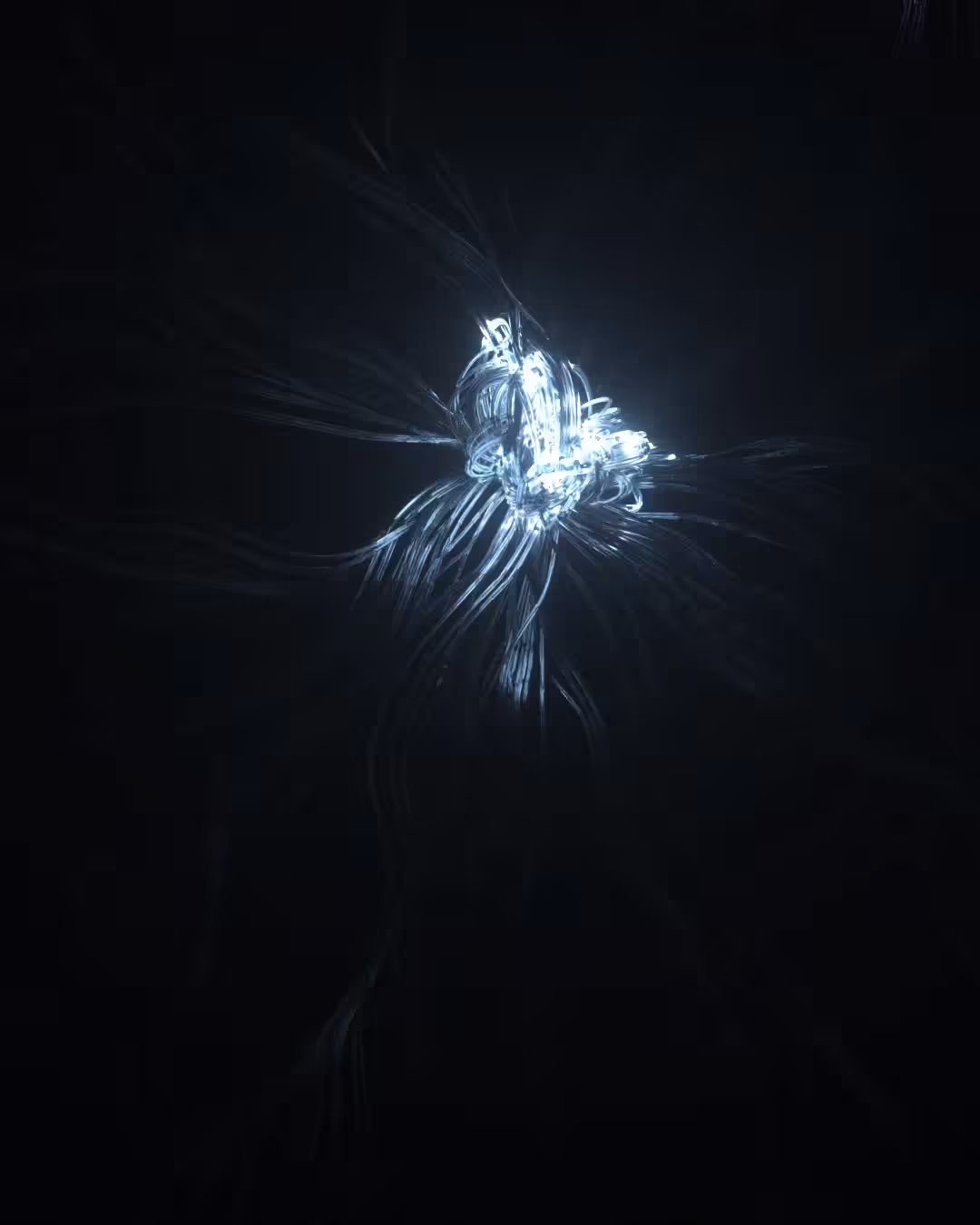 Sentinel Heart