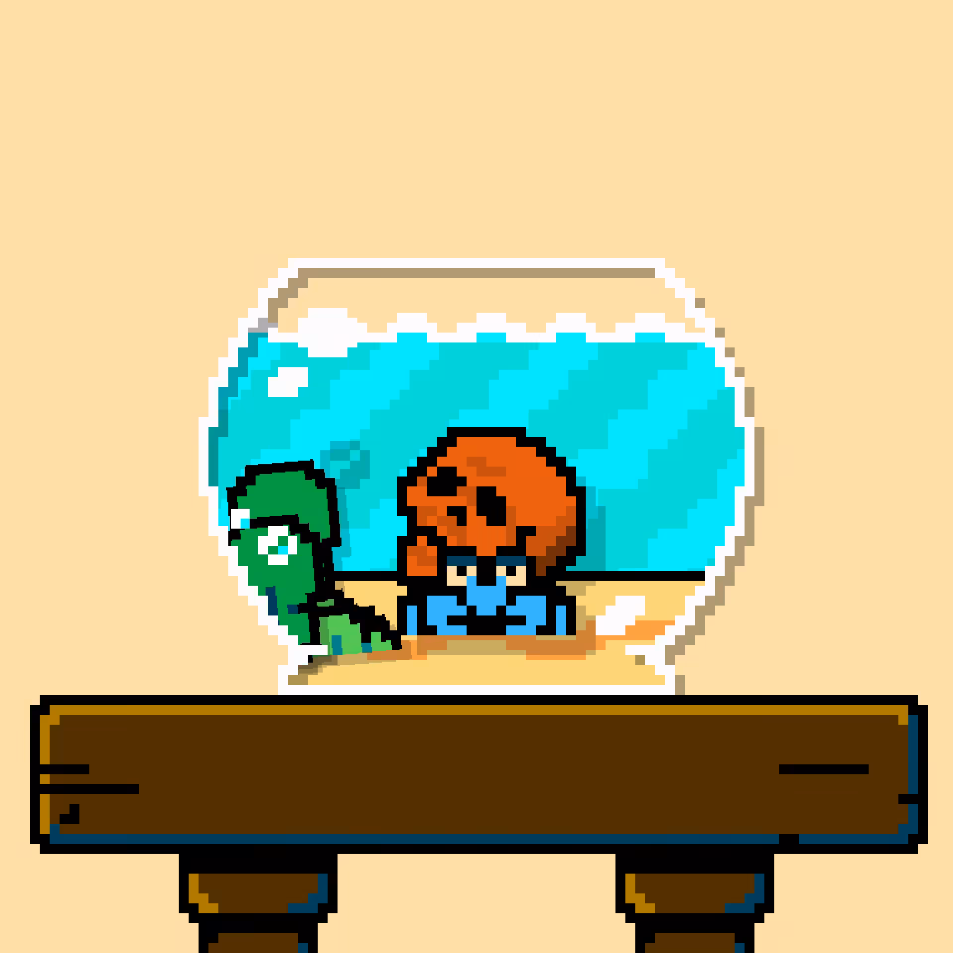hermit crab #24