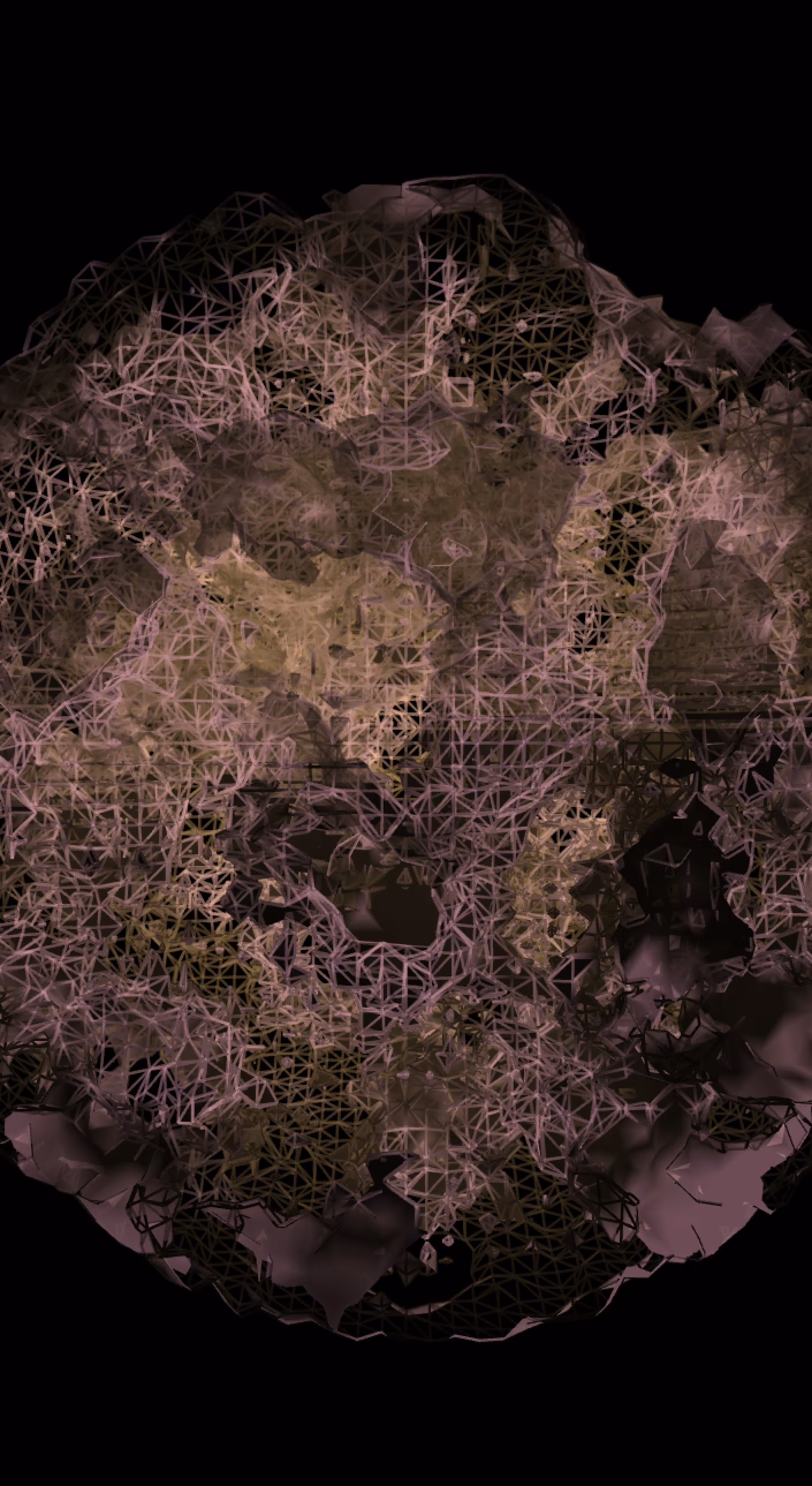 Edge_339