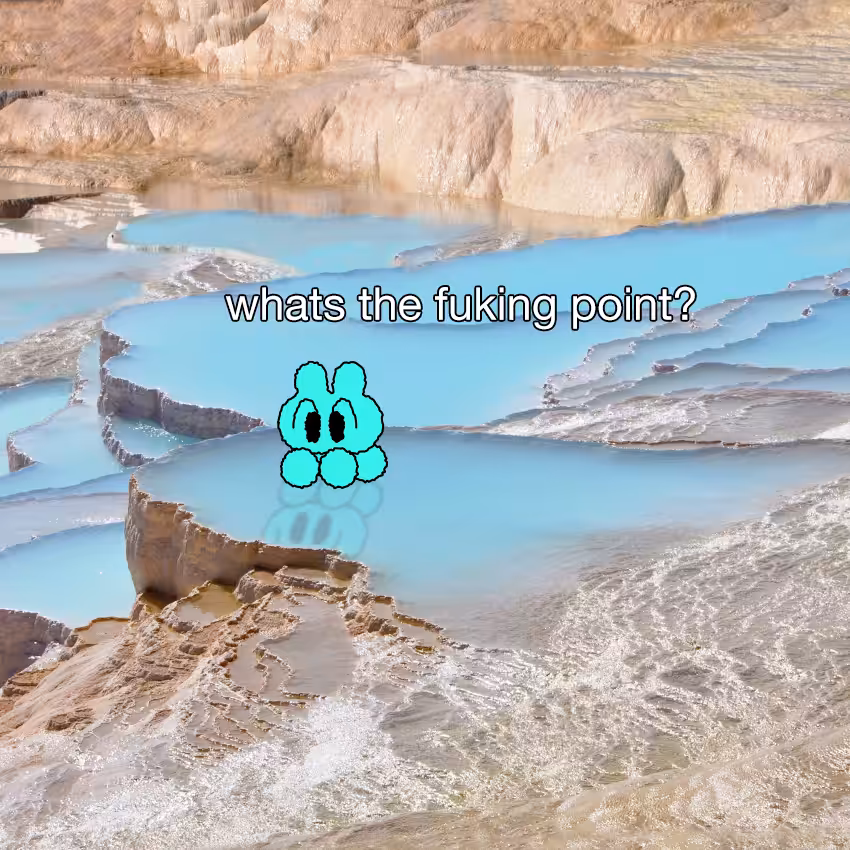 Rodeo posts: whats the fuking point?