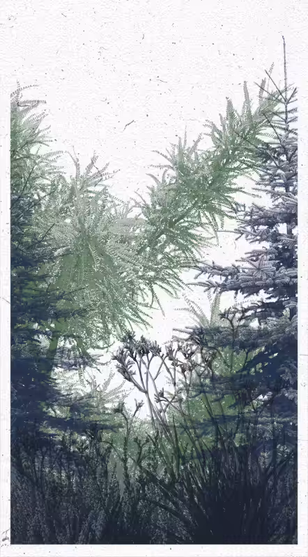 Life in the forest! #49